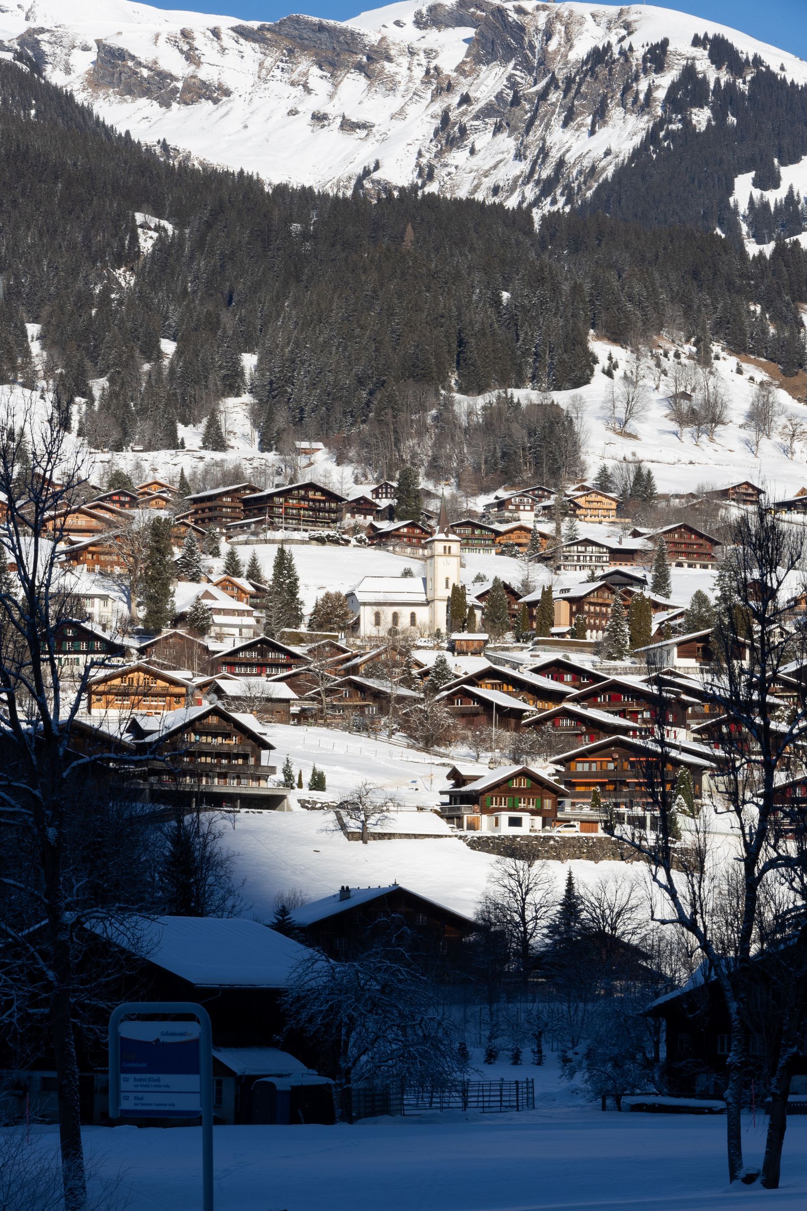 Swiss Alps winter alpine village Grindelwald under snow