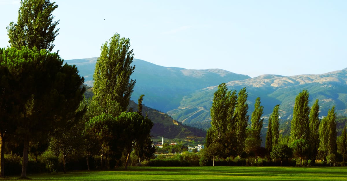 2025森林遊樂區景點推薦|北中南5大熱門園區 雲海 山林步道與絕美楓紅雪景一次收藏