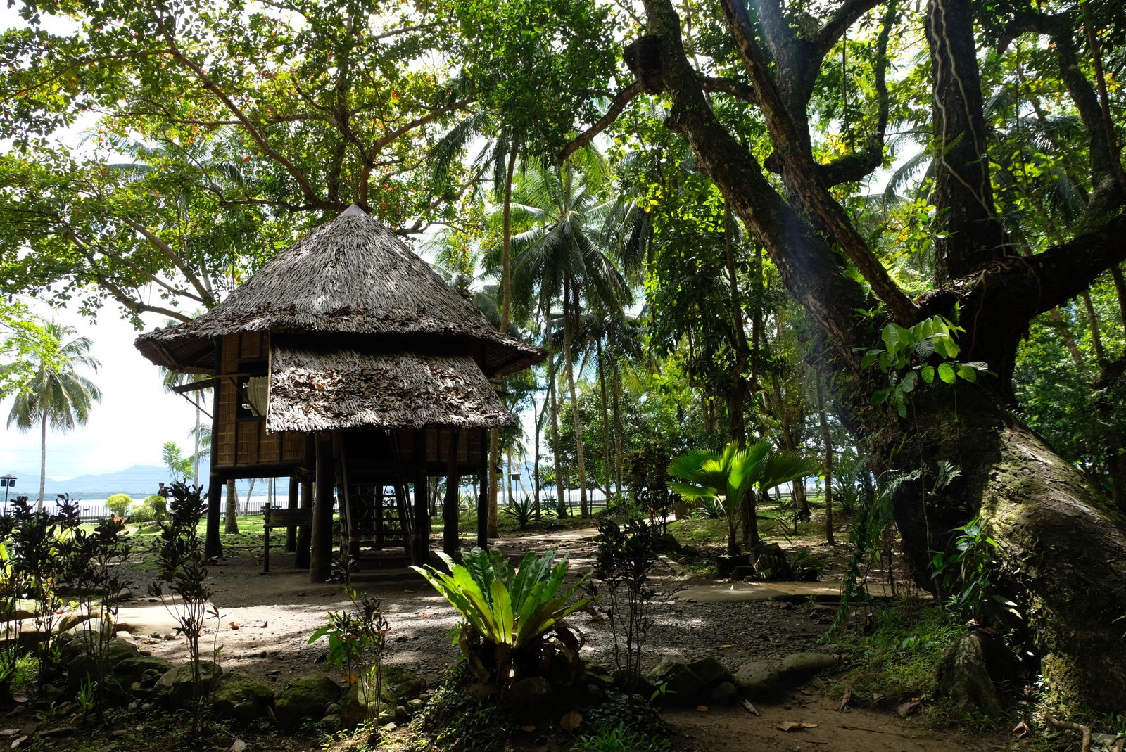 Rebuild 40 homes after Typhoon Kristine - Camarines Sur, Bicol
