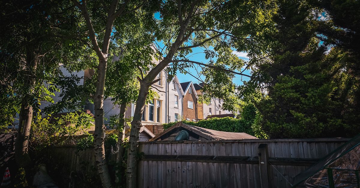 A tranquil urban backyard setting with trees providing natural shade on a sunny day.