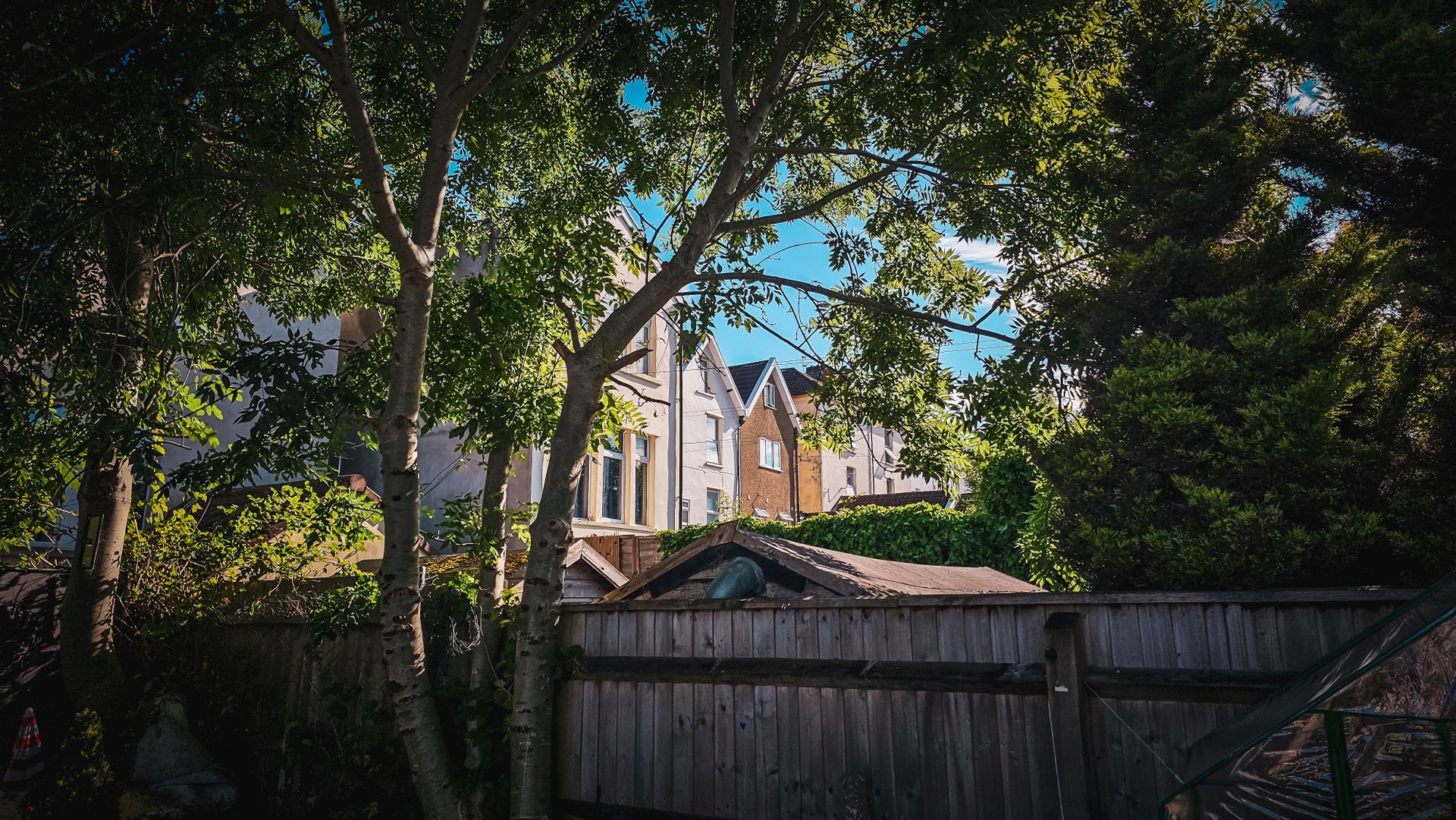 A tranquil urban backyard setting with trees providing natural shade on a sunny day.