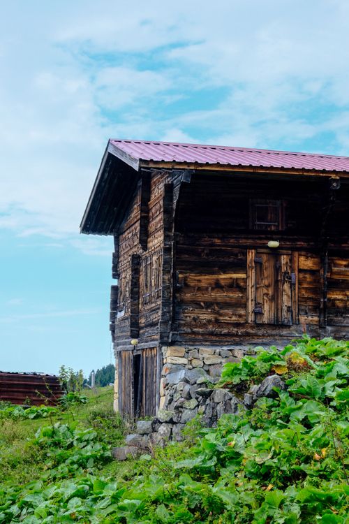 Free Charming wooden cabin in a lush green setting under a vivid blue sky. Stock Photo