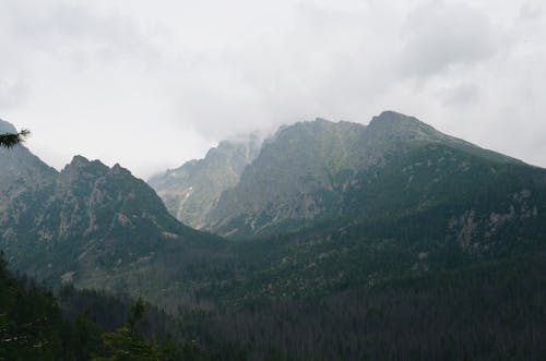 Foto profissional grátis de floresta, montanha, nuvem