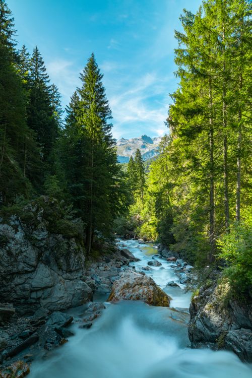 Free Peaceful alpine river flowing through lush forest with mountains in the background. Stock Photo
