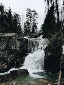 斯洛伐克波普拉德的瀑布风景如画，周围环绕着郁郁葱葱的森林和岩石