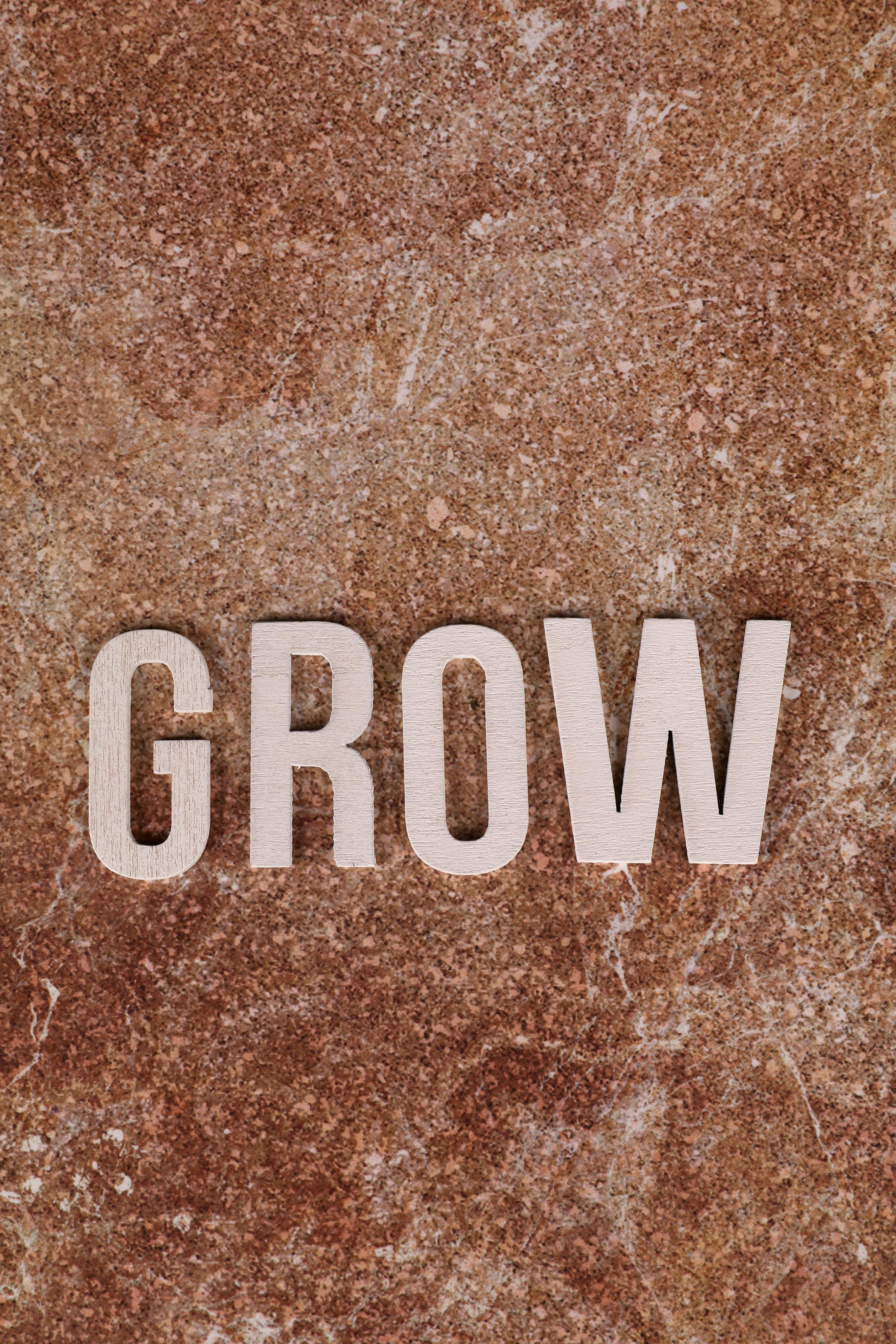 Text 'GROW' displayed on a textured brown stone surface.