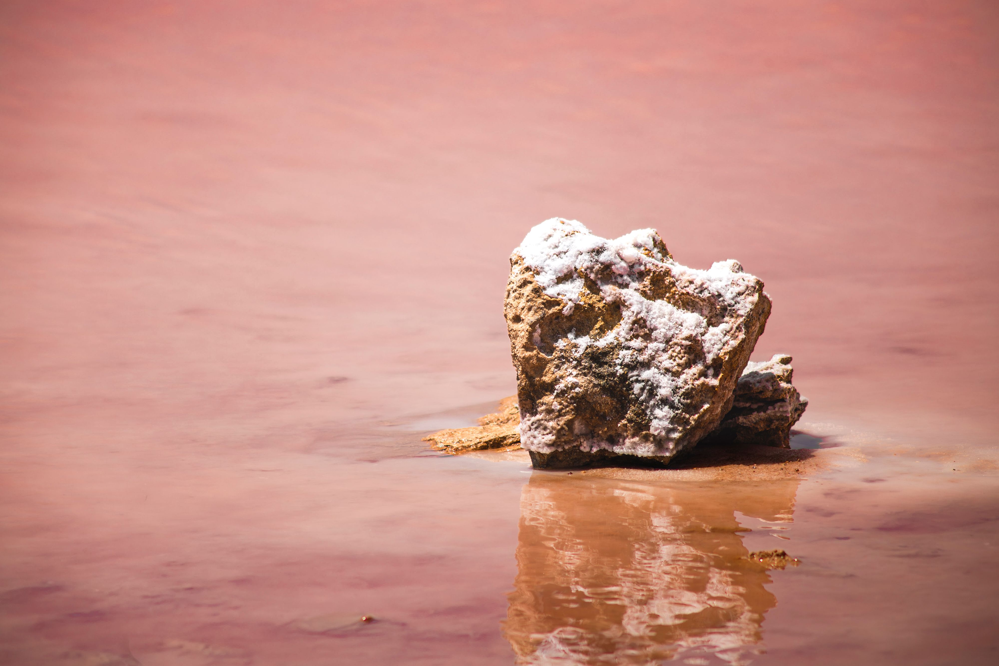 A salt-encrusted rock sits in the vibrant pink waters of Lake Torrevieja, Spain, reflecting a unique natural phenomenon. - Playa de Gulpiyuri