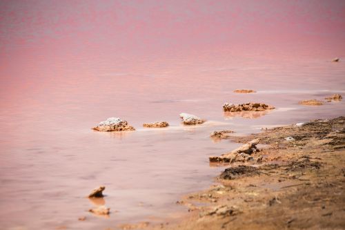 Free Discover the unique pink salt lake of Torrevieja, a natural wonder rich in minerals and stunning scenery. Stock Photo