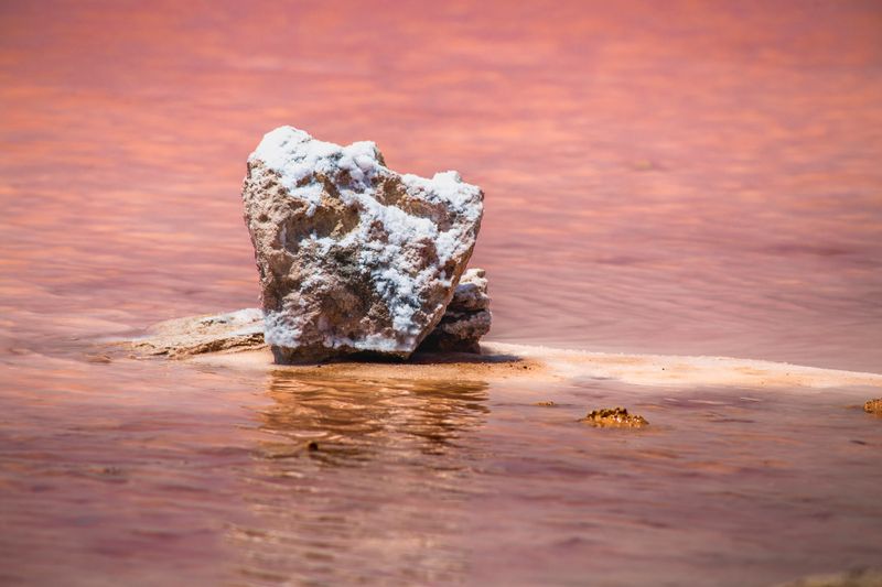 Torrevieja Pink Salt Lake