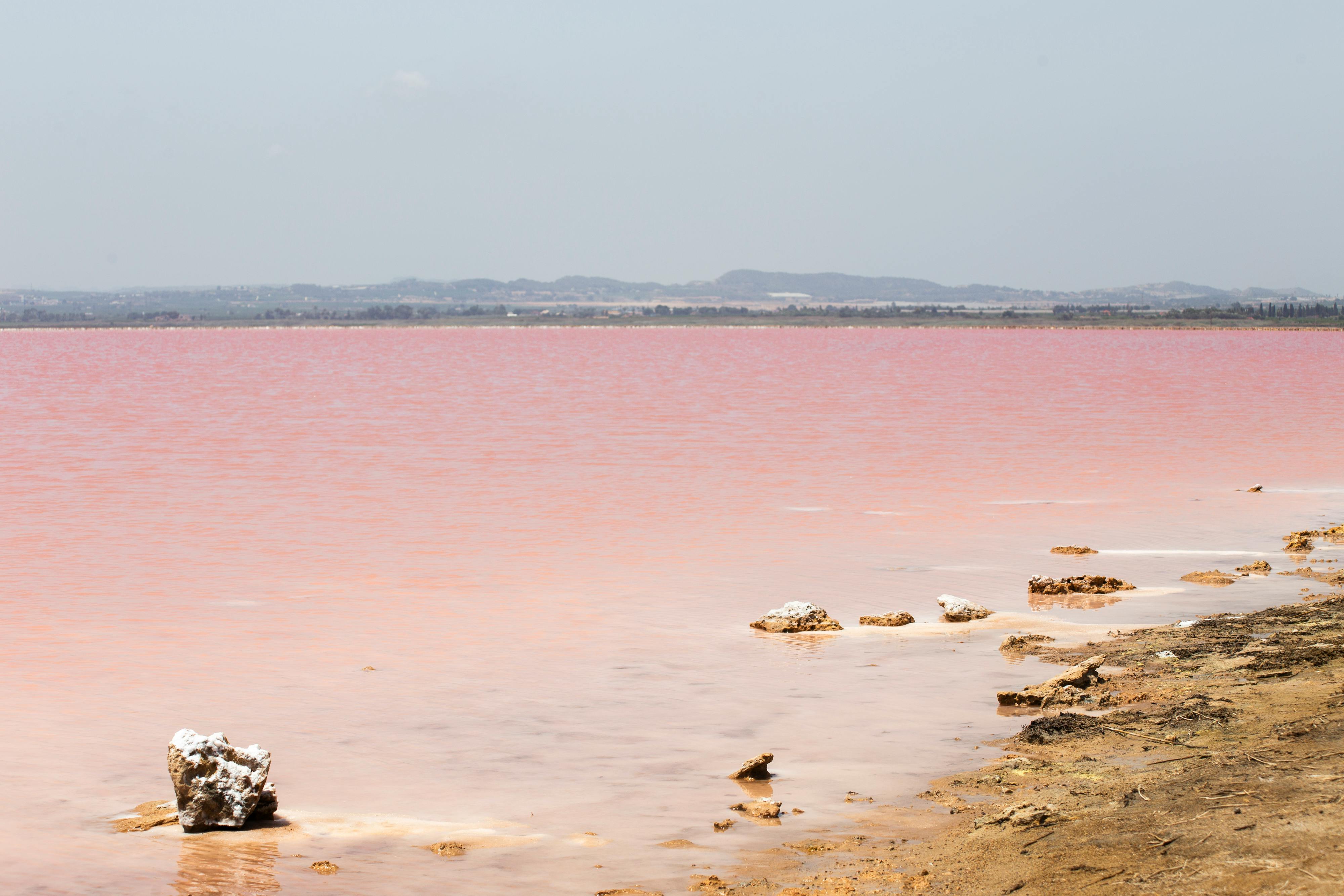 Pink Salt Lake — Torrevieja Spain
