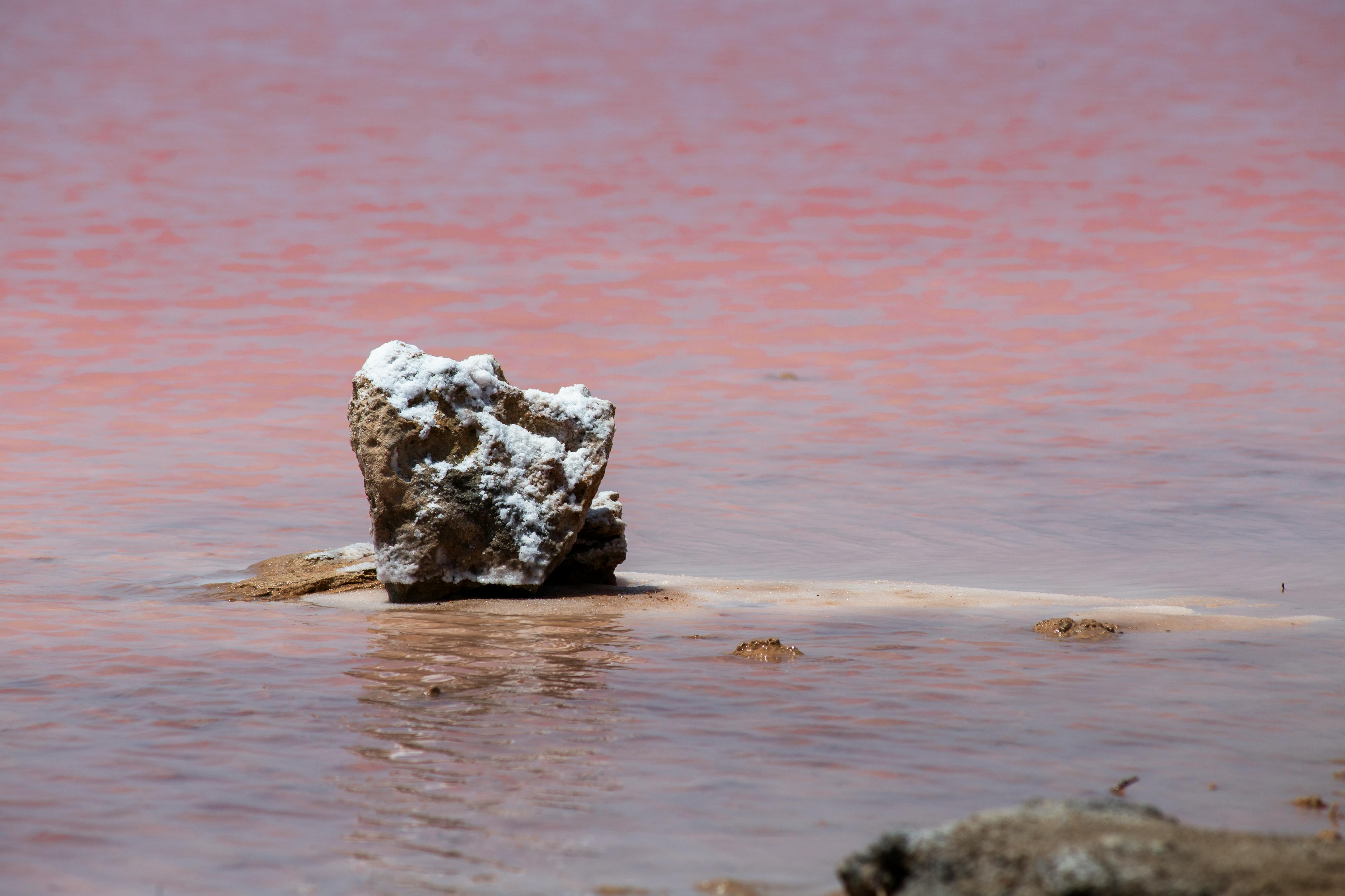 A salt-covered rock stands amidst the pink-hued waters of Torrevieja's salt lake in Spain's Comunidad Valenciana.