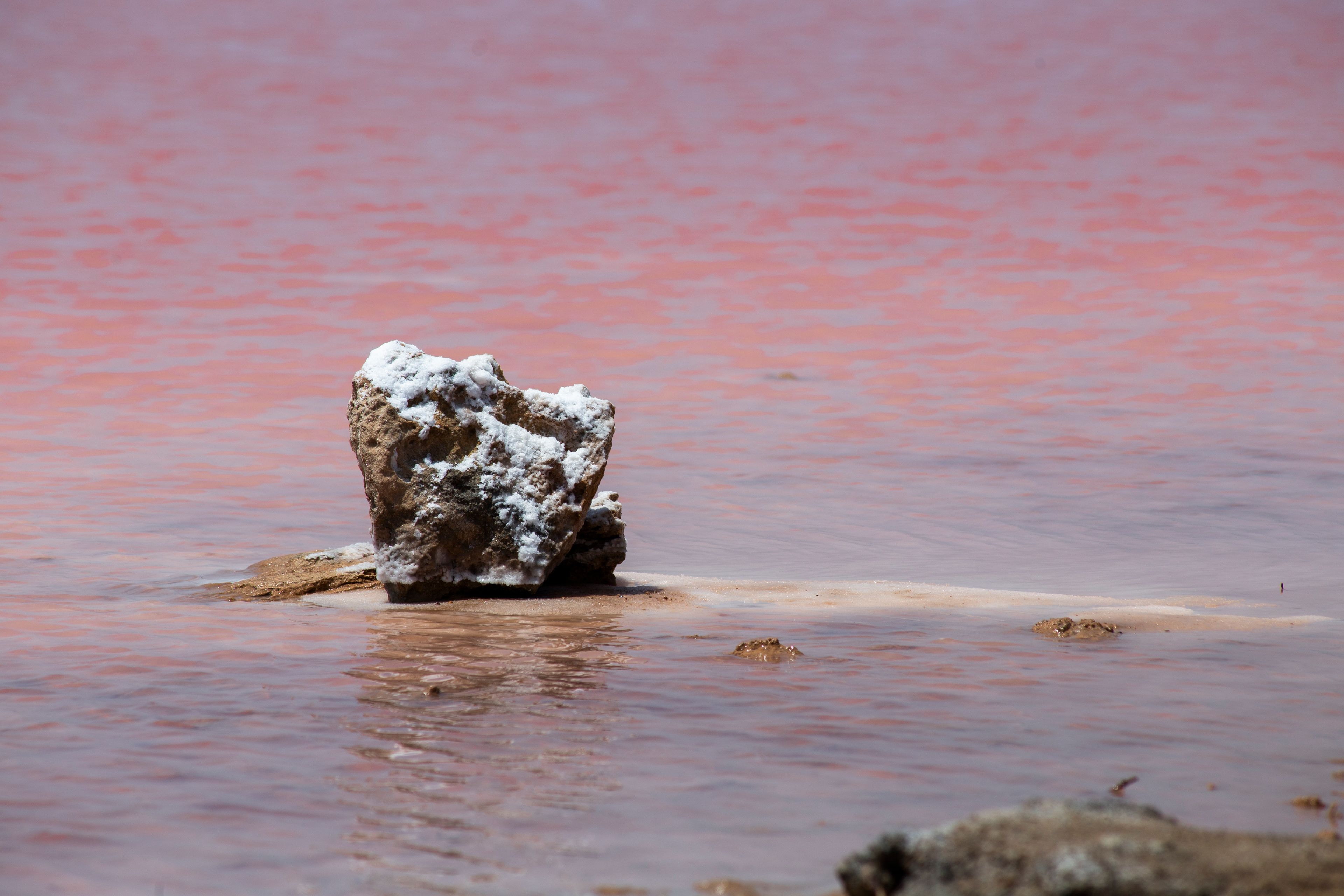 Pink Salt & Stone