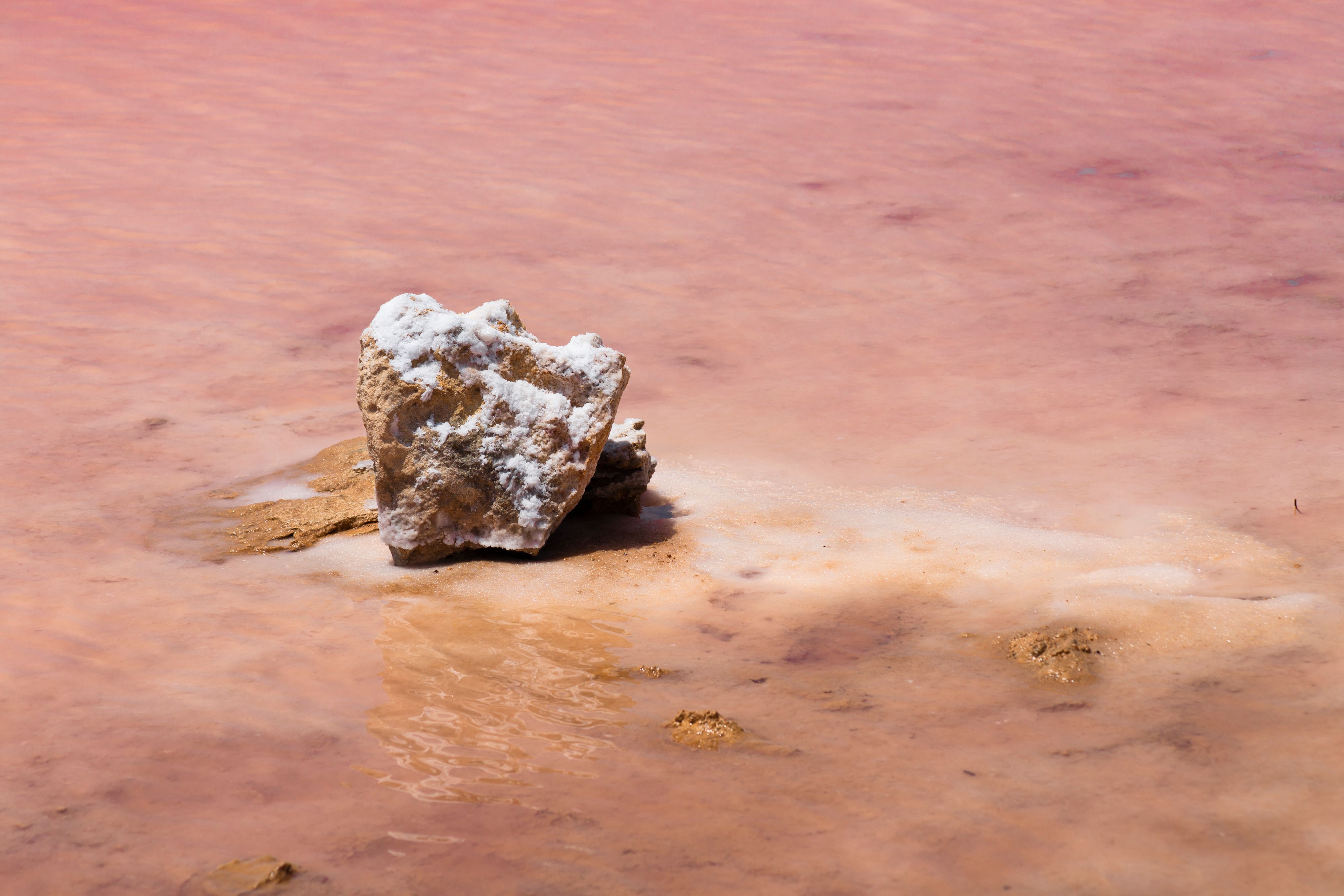 Paysage Lac Rose