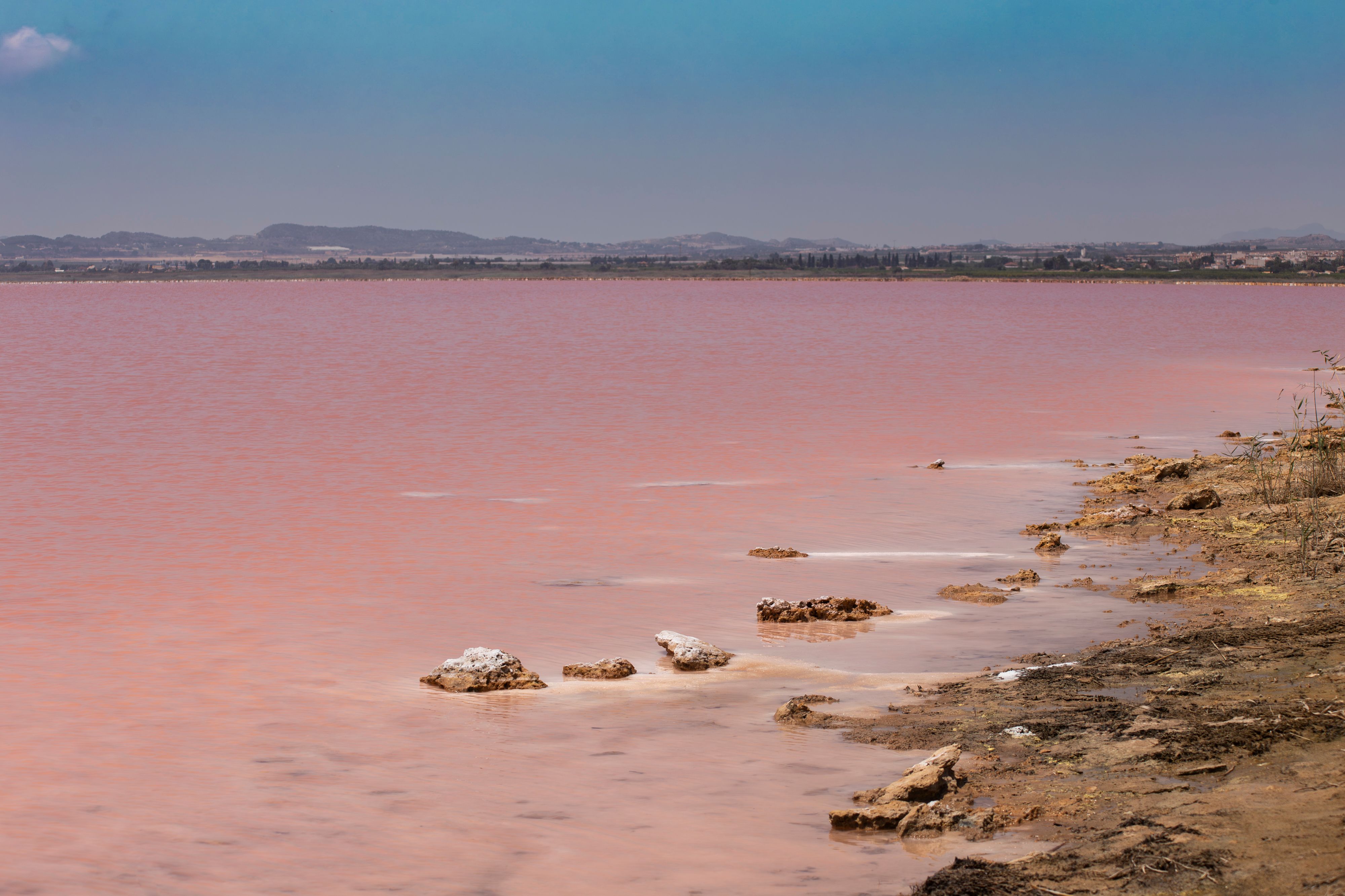 Parque Natural de las Lagunas de La Mata y Torrevieja