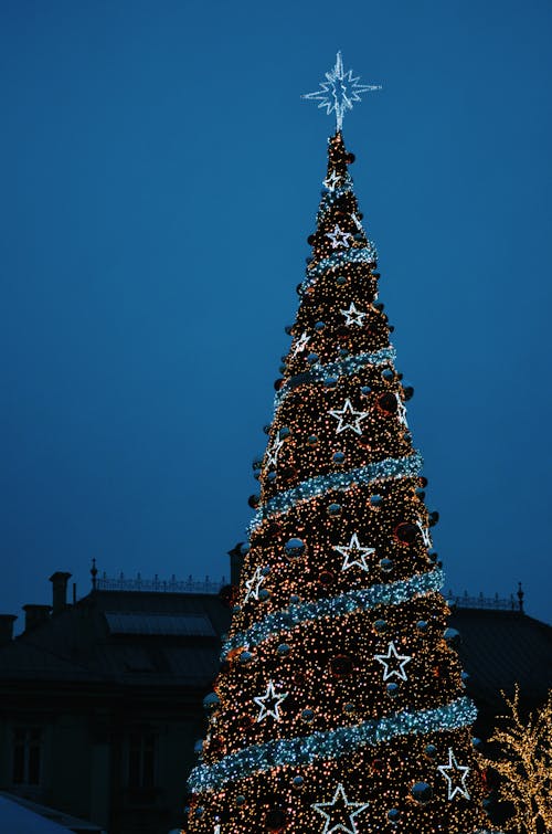 Free stock photo of new year, new year tree, poland Stock Photo