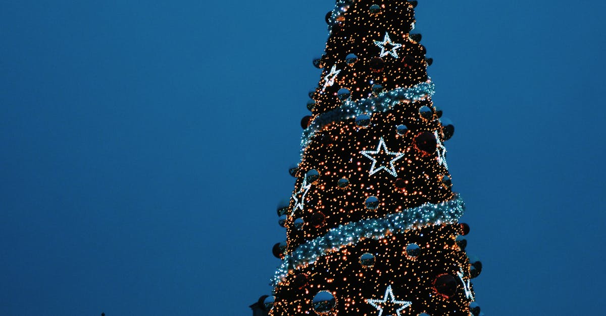 Free stock photo of new year, new year tree, poland