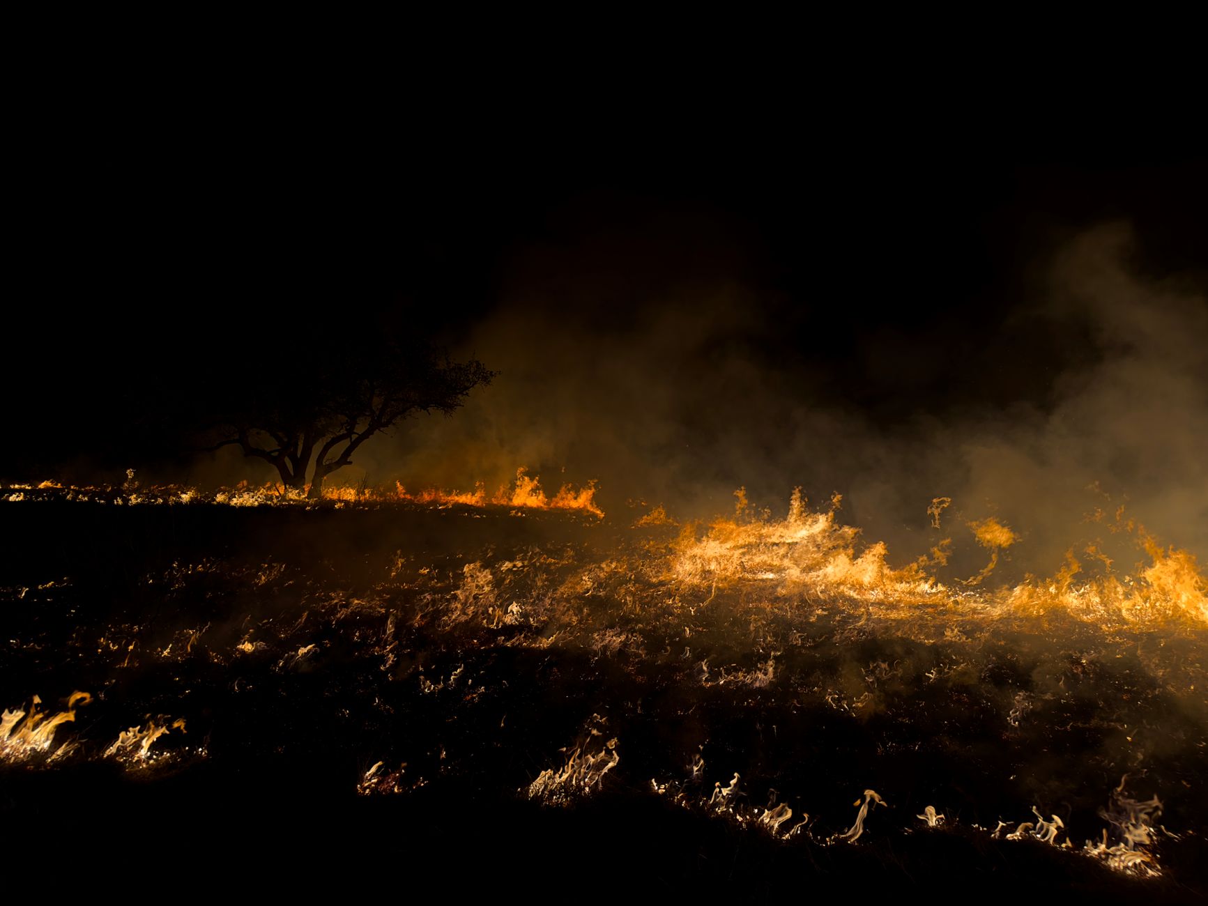Texas Landowners Can Apply for Wildfire Mitigation Grants Through July 14