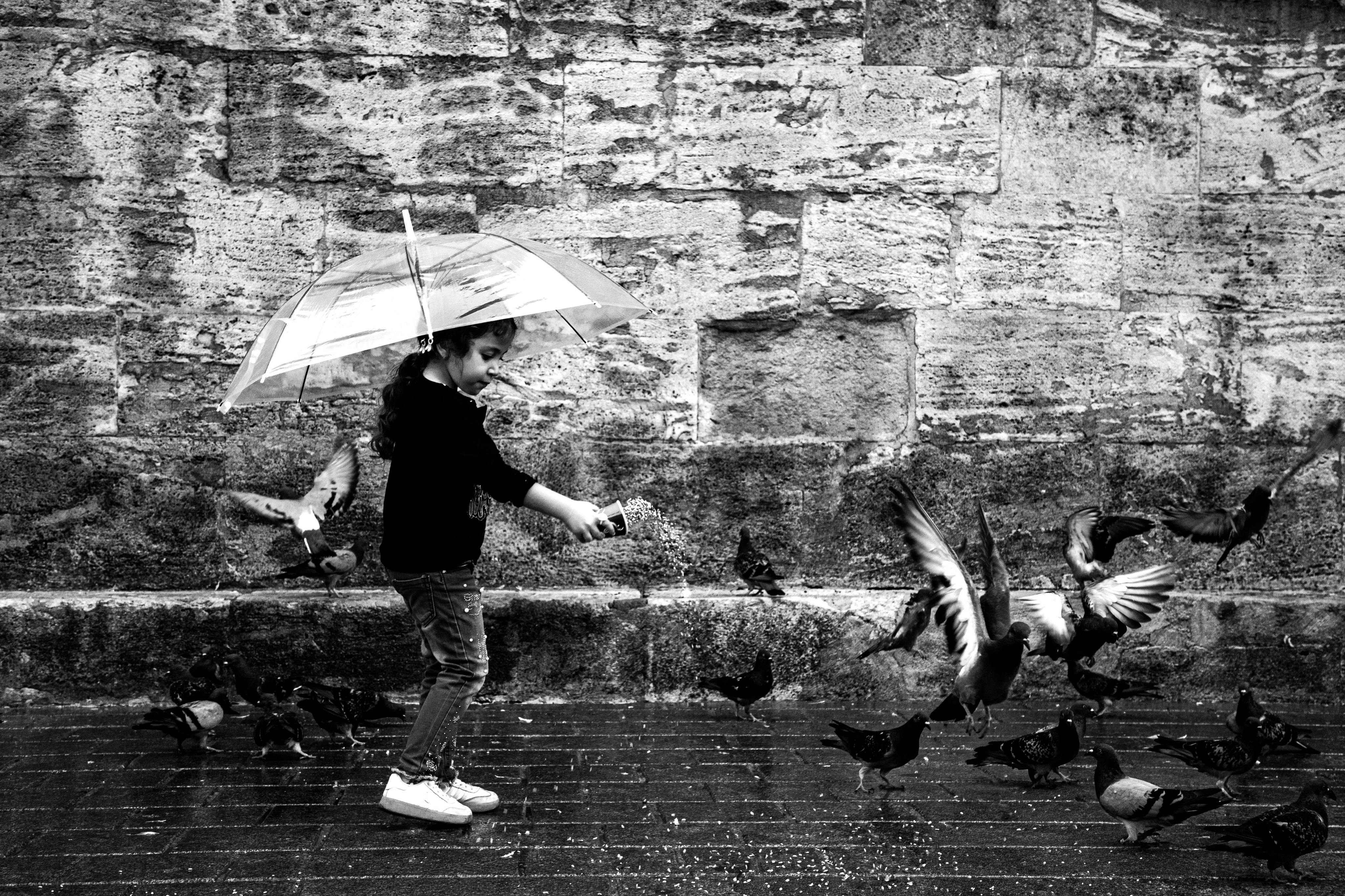 A child feeds pigeons under an umbrella on a rainy day in Istanbul.