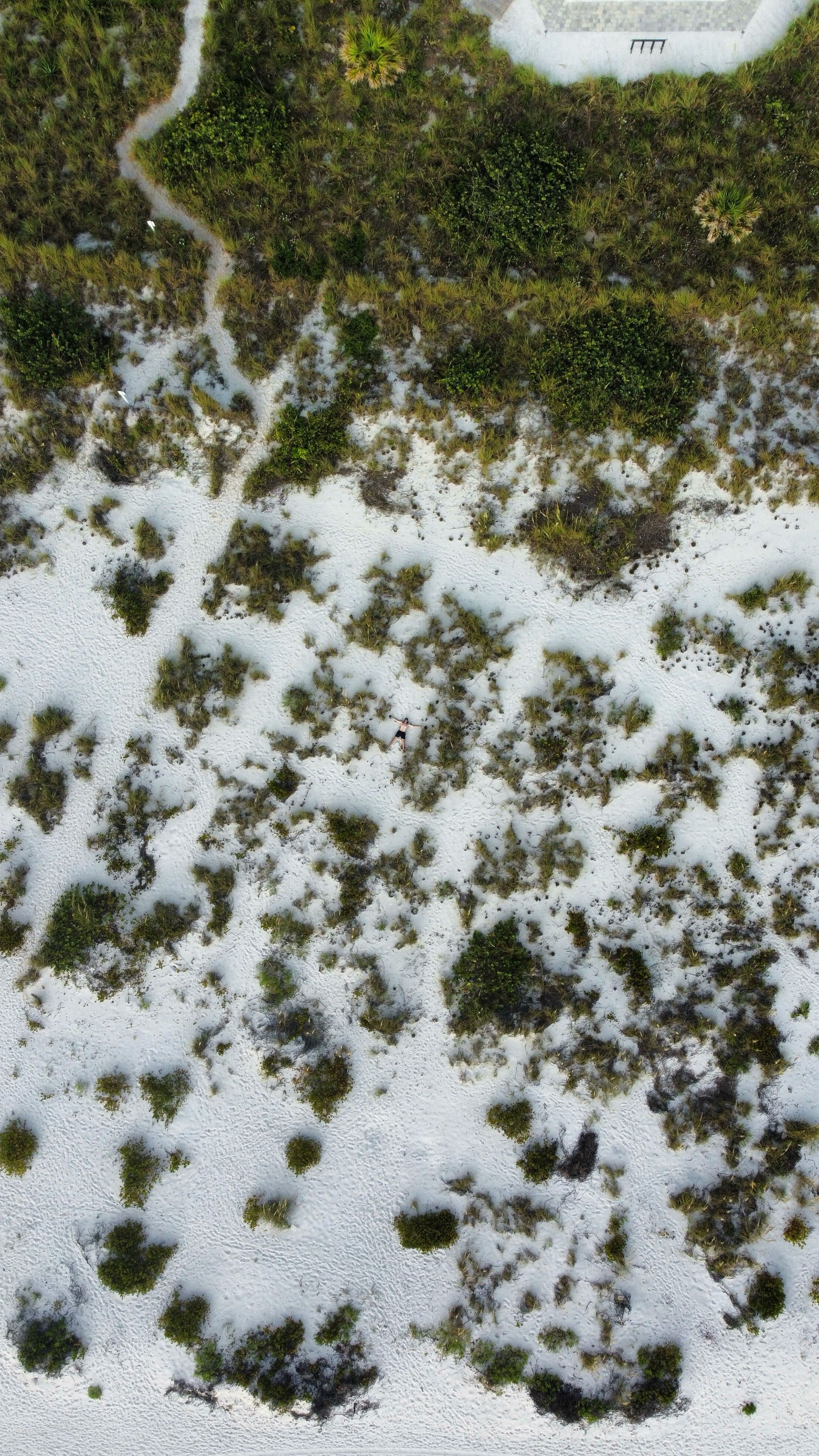 Aerial drone photo of a Florida beach and coastline