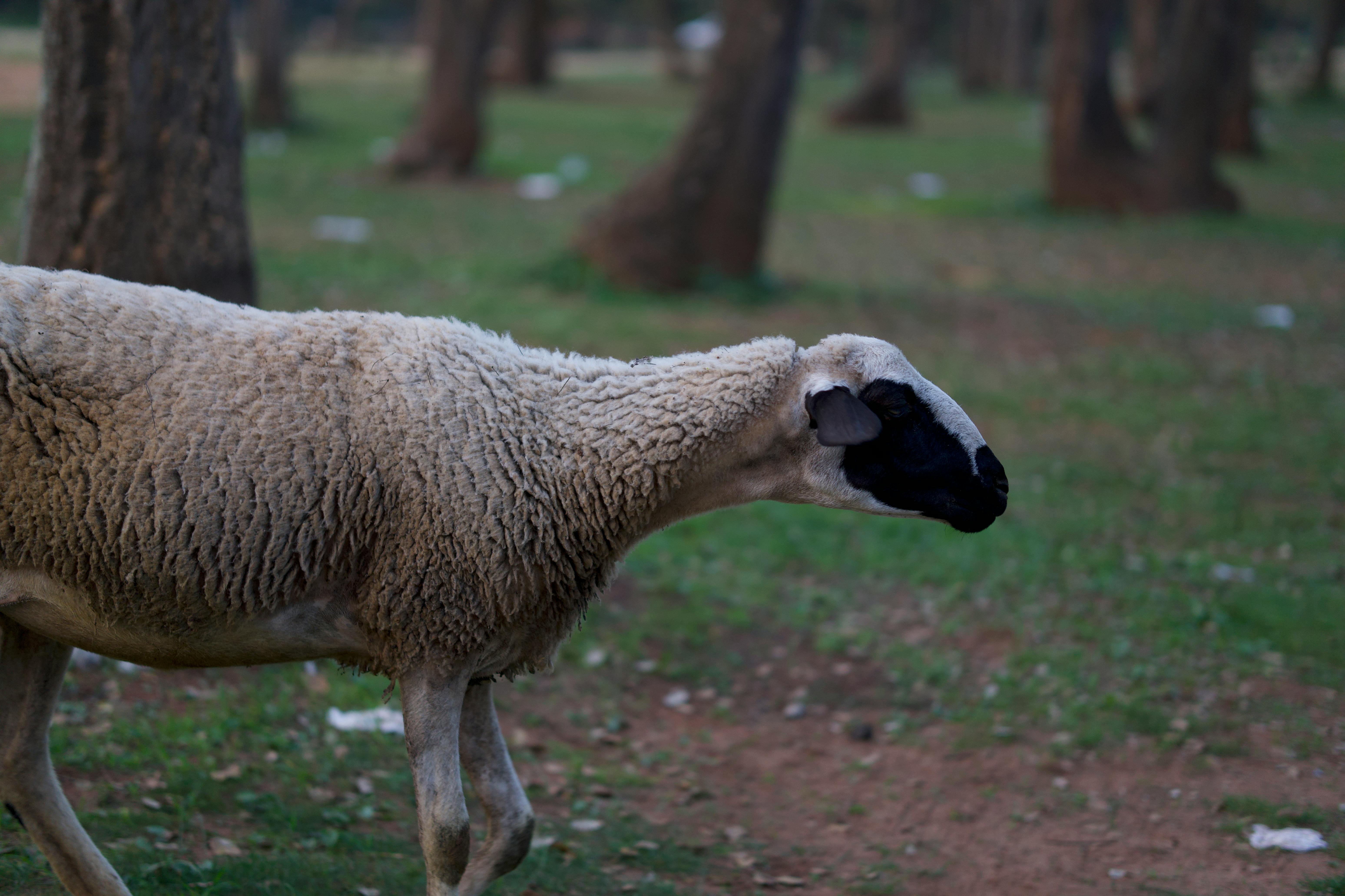 momo攜手百家供應商推永續綠生活 綠活會員突破70萬大關