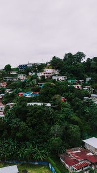 Aerial view of lush hillside homes in Panama City, showcasing urban and natural blend.