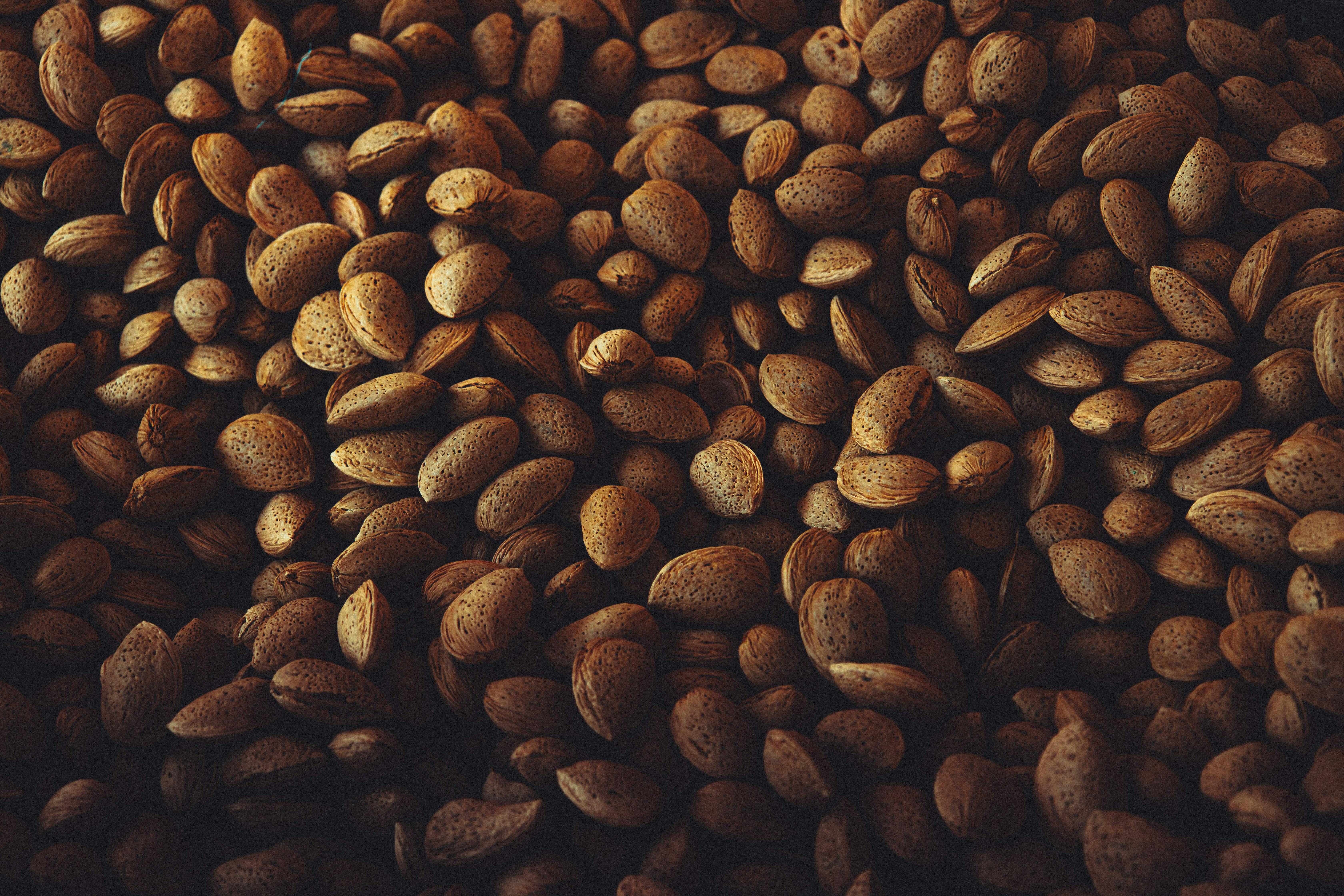 Unleash the Hidden Powers of Your Immune System