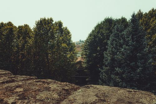 Free View through vibrant trees towards a distant town, captured outdoors in daylight. Stock Photo