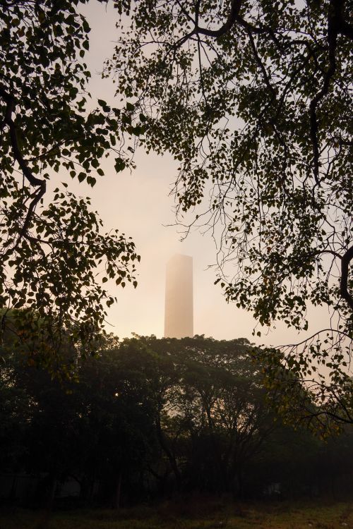 Free Serene foggy morning in Kolkata with a tall building partially obscured by mist and framed by trees. Stock Photo