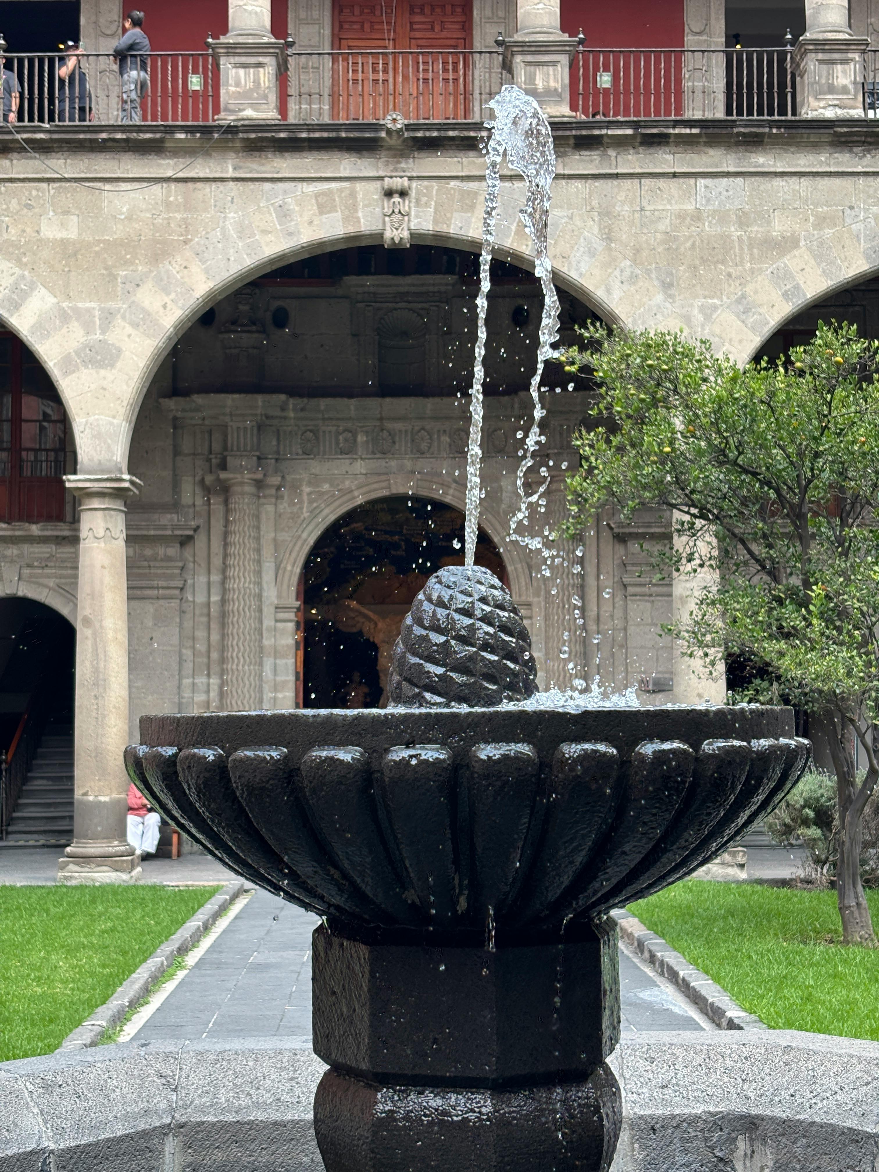 花蓮縣政府邀13國友人農村慢旅 探秘金針花與鳳梨魅力