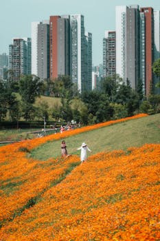 A couple walks through a lush orange flower field against a backdrop of modern city skyscrapers.