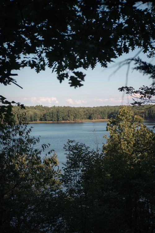 Free Beautiful lake surrounded by lush trees in Sydenham, Ontario, Canada captured in natural light. Stock Photo