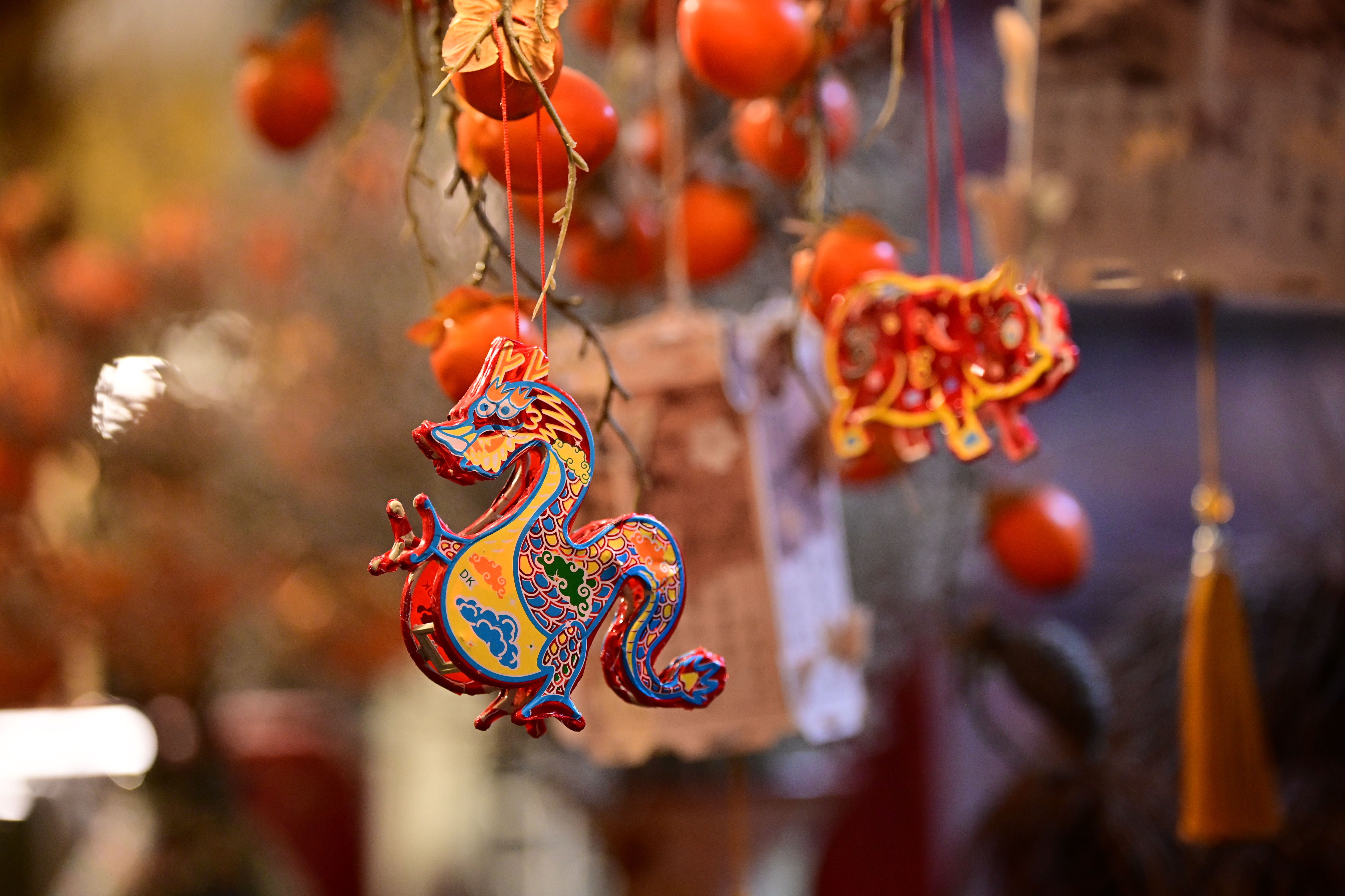 lucky dragon lottery