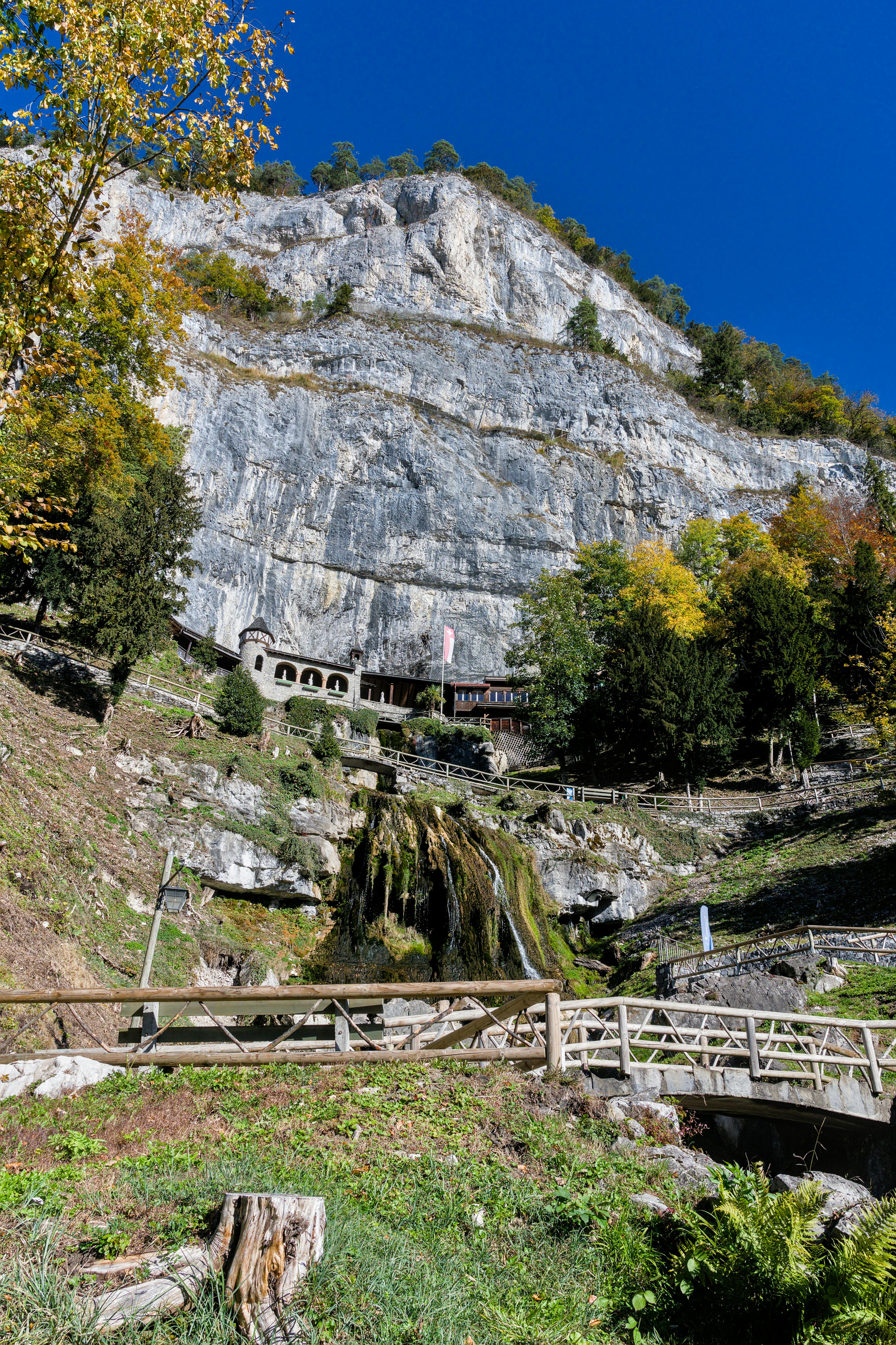 2025森林遊樂區景點推薦｜北中南5大熱門園區 雲海 山林步道與絕美楓紅雪景一次收藏