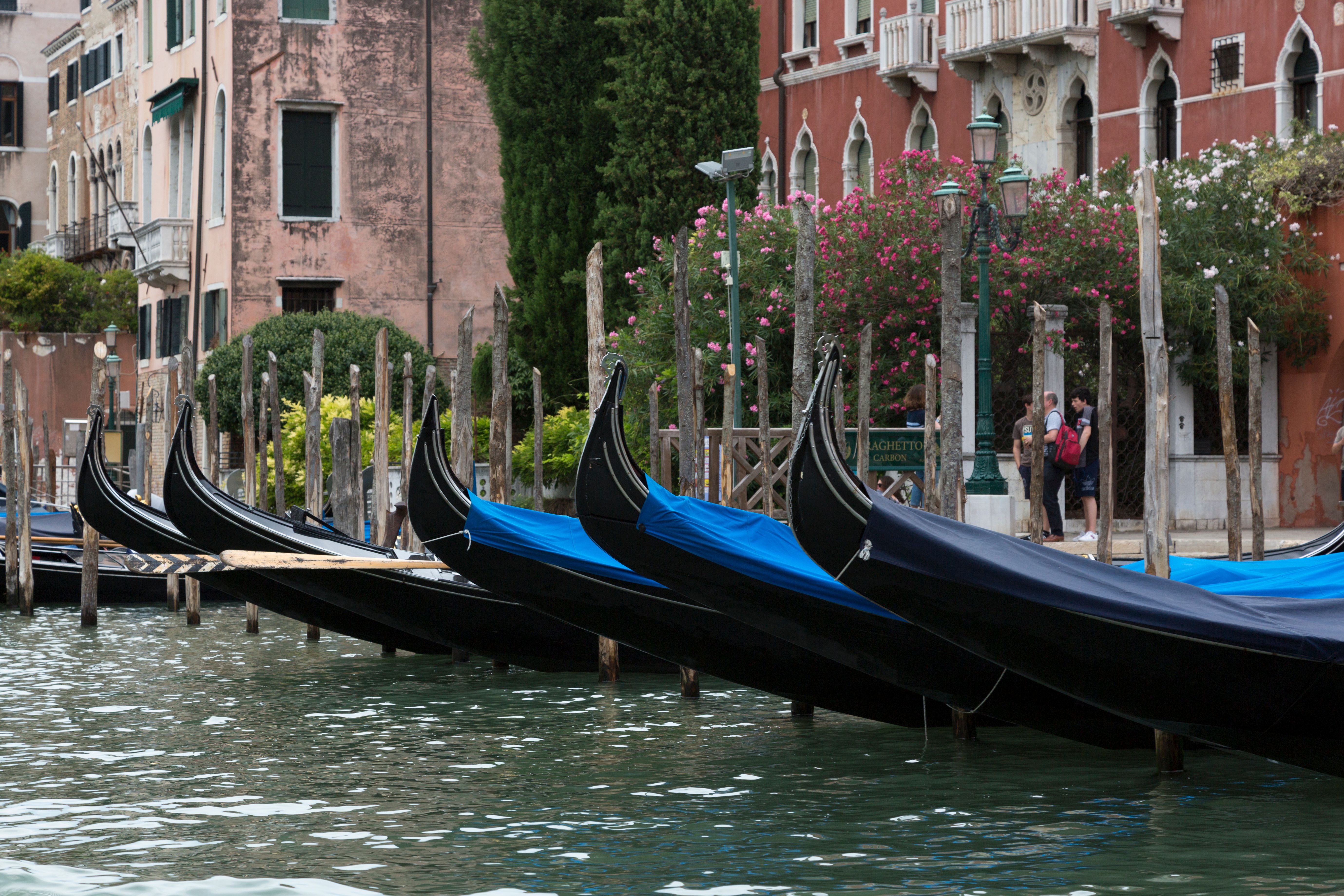 Row of gondolas docked along a Venetian canal with historic buildings in the background.