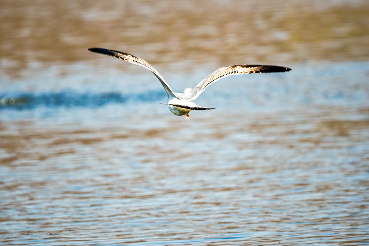 Free Code Of Conduct Photos, Download The BEST Free Free Code Of ...