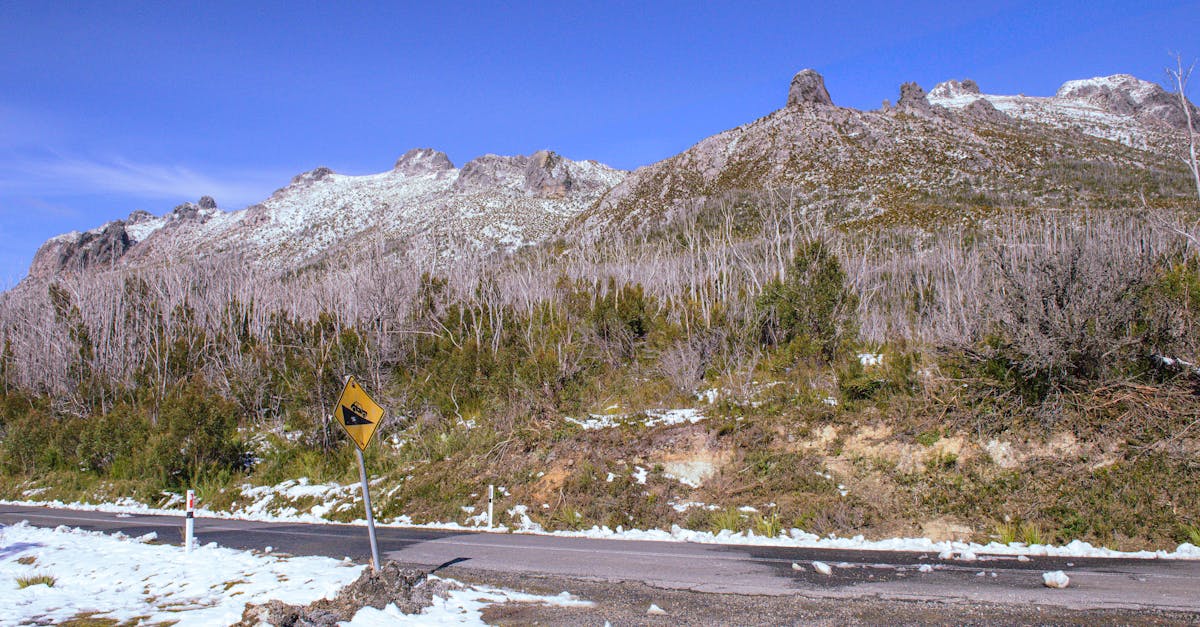 2025森林遊樂區景點推薦|北中南5大熱門園區 雲海 山林步道與絕美楓紅雪景一次收藏