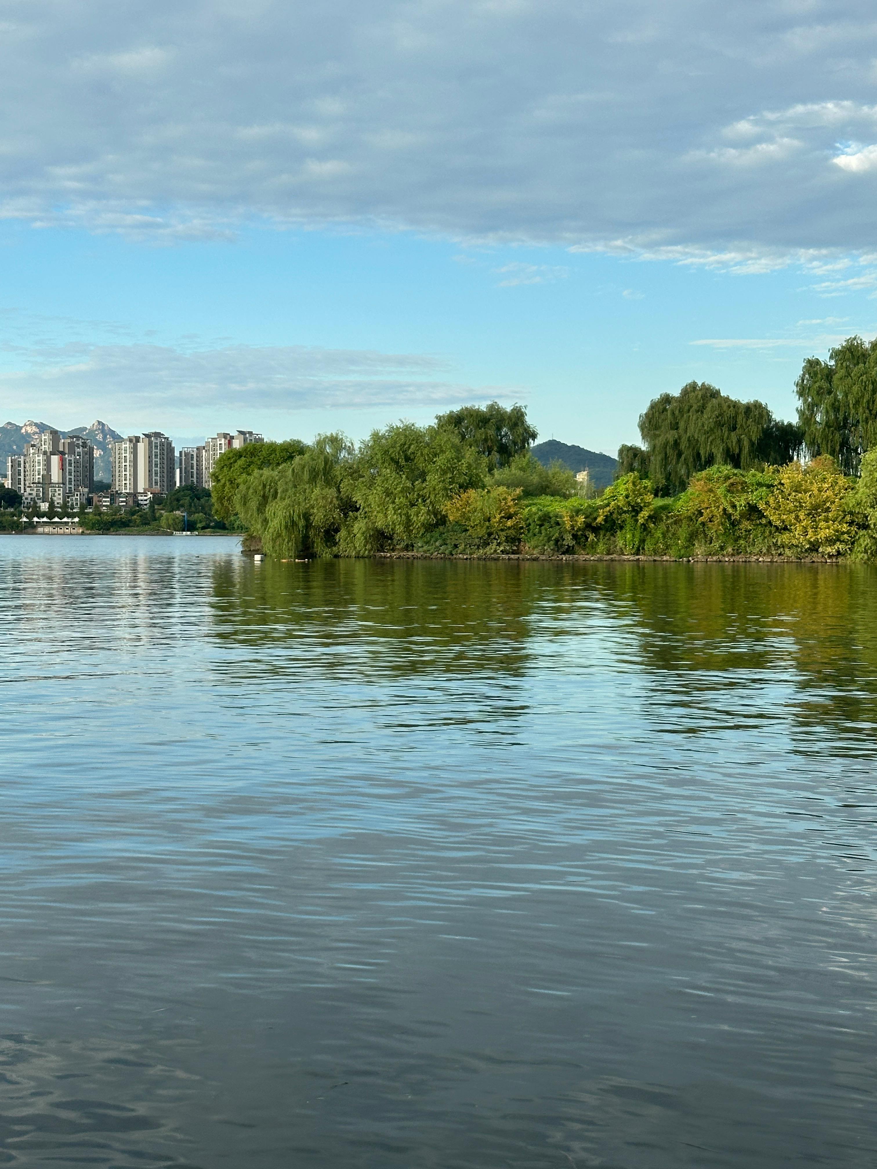 Serene lake view with city skyline and lush greenery under a blue sky.