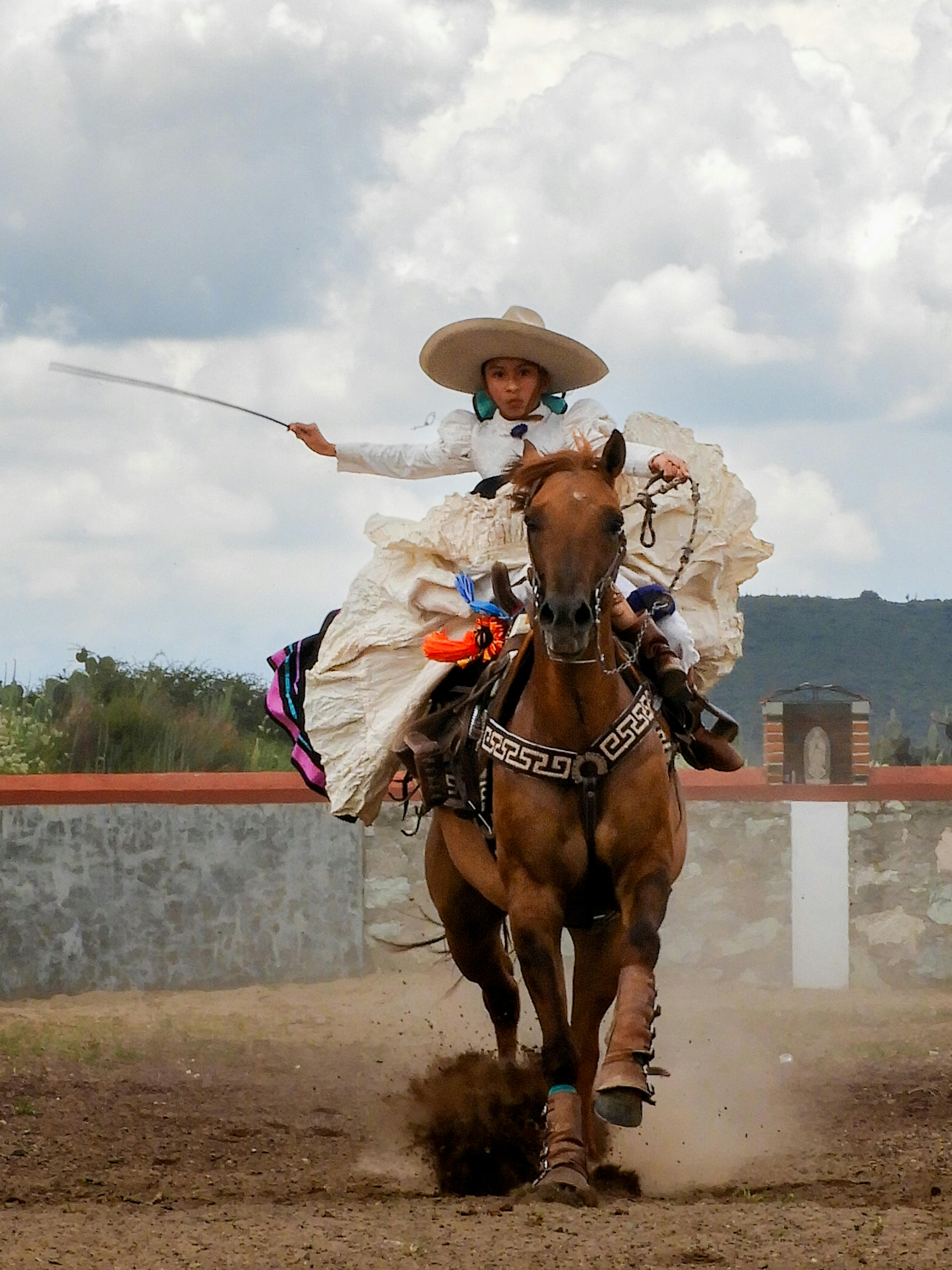 台中國際動畫影展10月熱鬧登場 動畫迷不可錯過