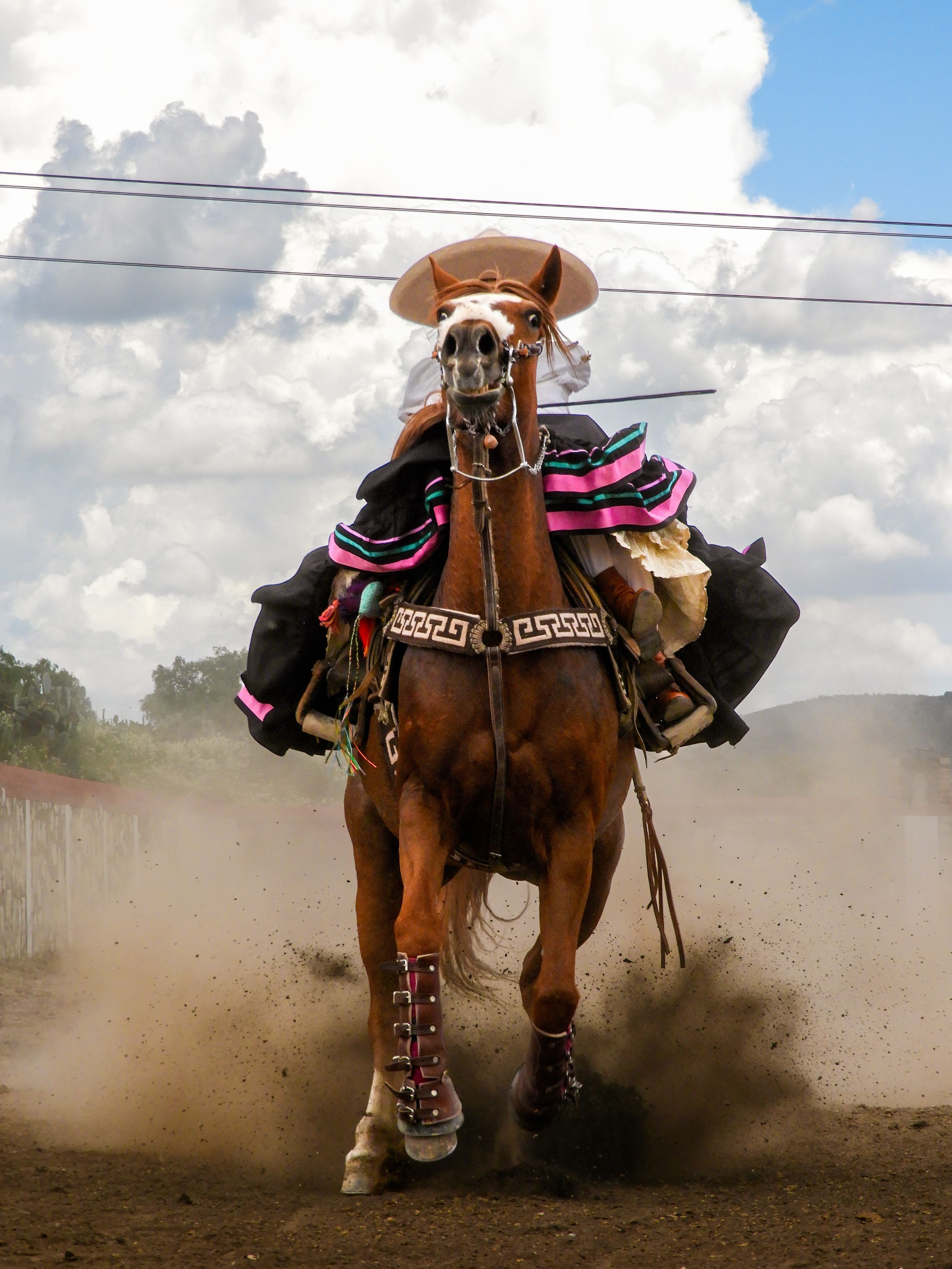 Dramatic Charro Rider in Hidalgo, Mexico · Free Stock Photo