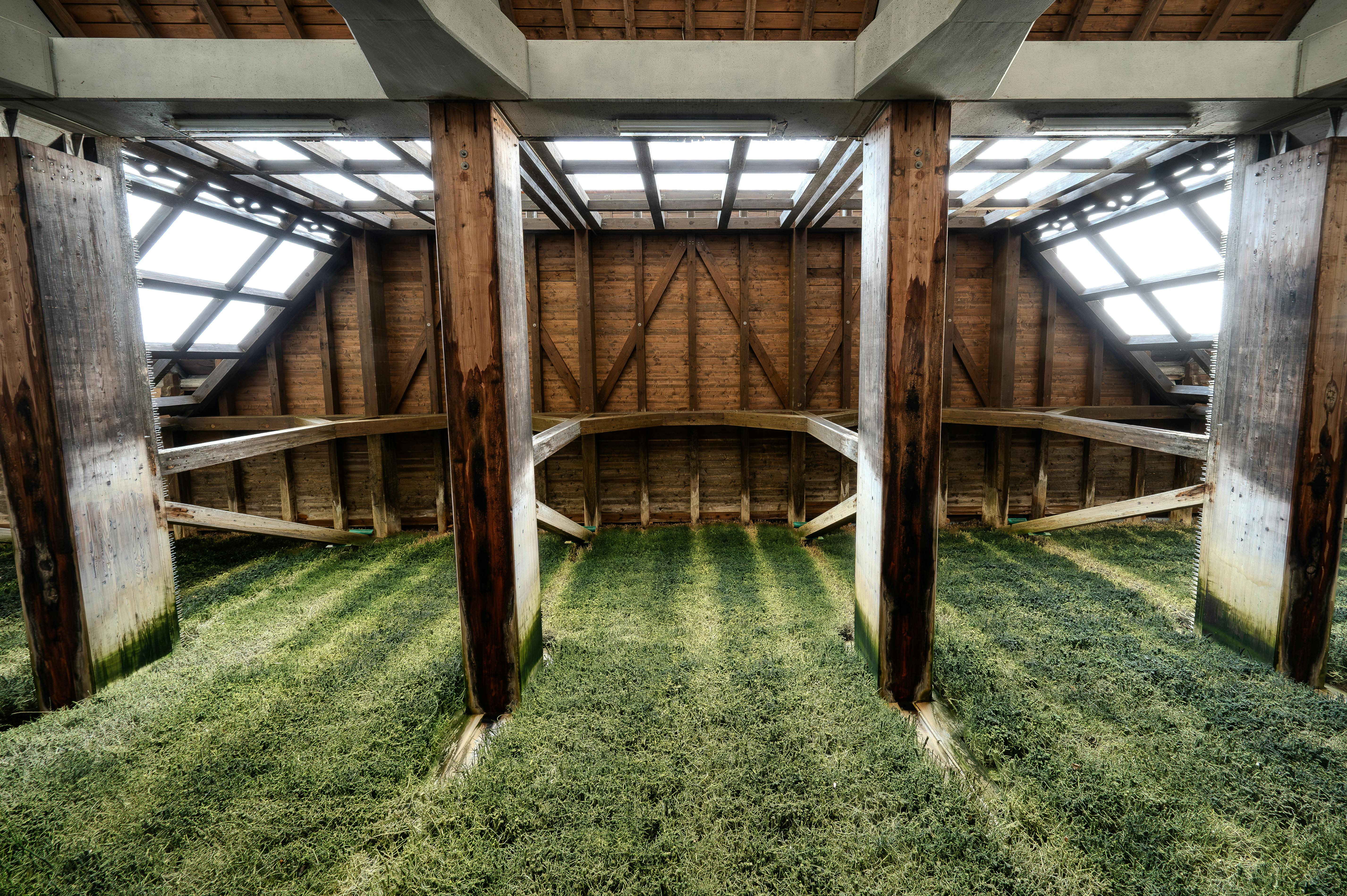 木質生活展 9 26 新光三越 A9 登場 未定的輪廓 帶你感受木作與時間的溫潤哲學