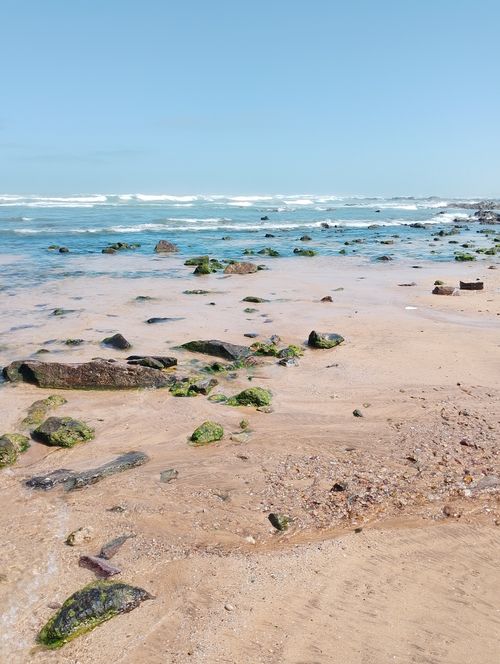 Free Explore the beautiful rocky beach in Casablanca, Morocco, on a sunny day with clear blue water. Stock Photo