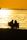 sunset couple