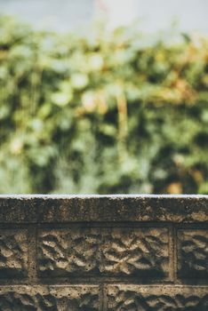 Close-up of a textured stone wall with blurred green foliage in the background, highlighting nature's contrast.