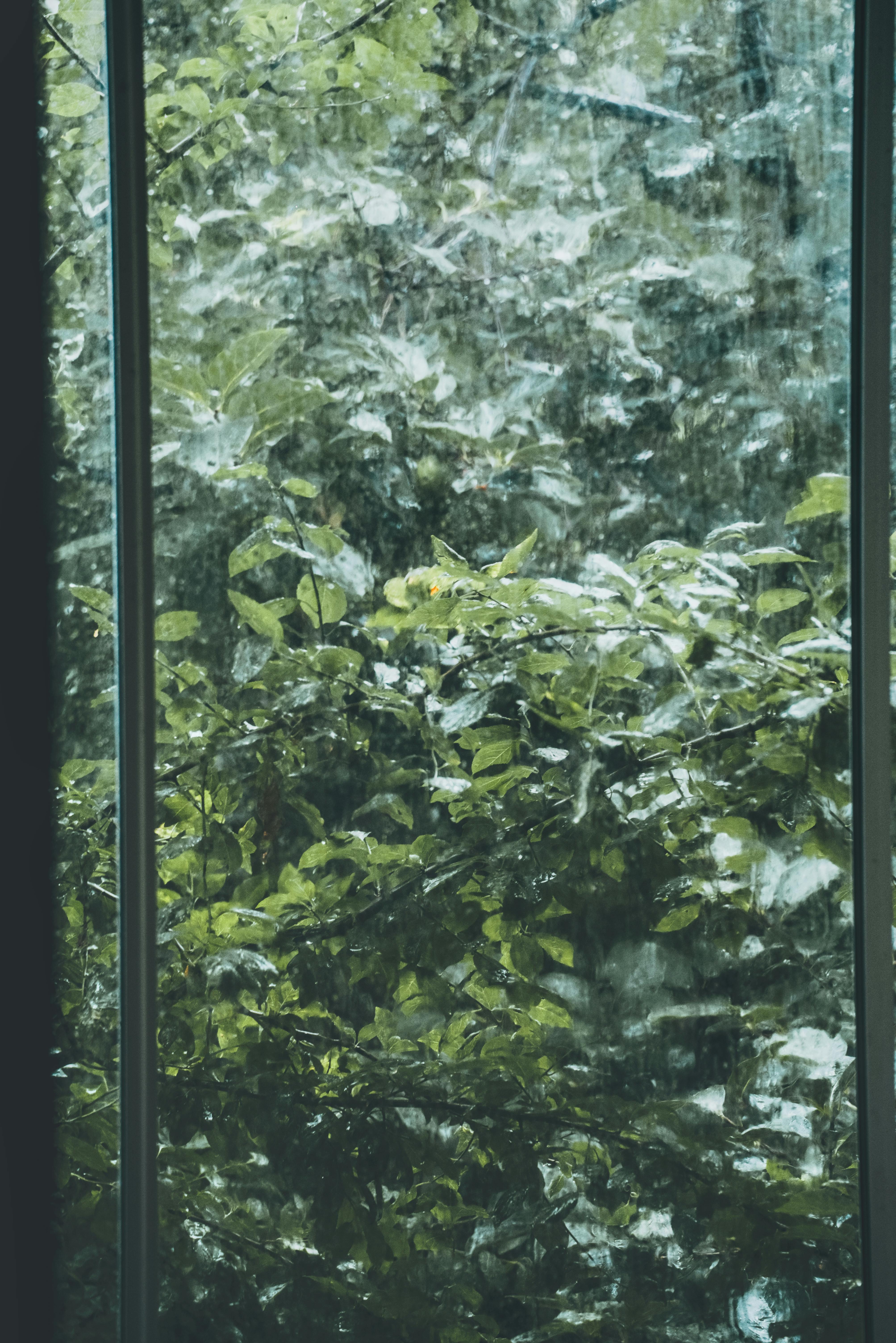 Window Scenes Photos, Download The BEST Free Window Scenes Stock Photos ...