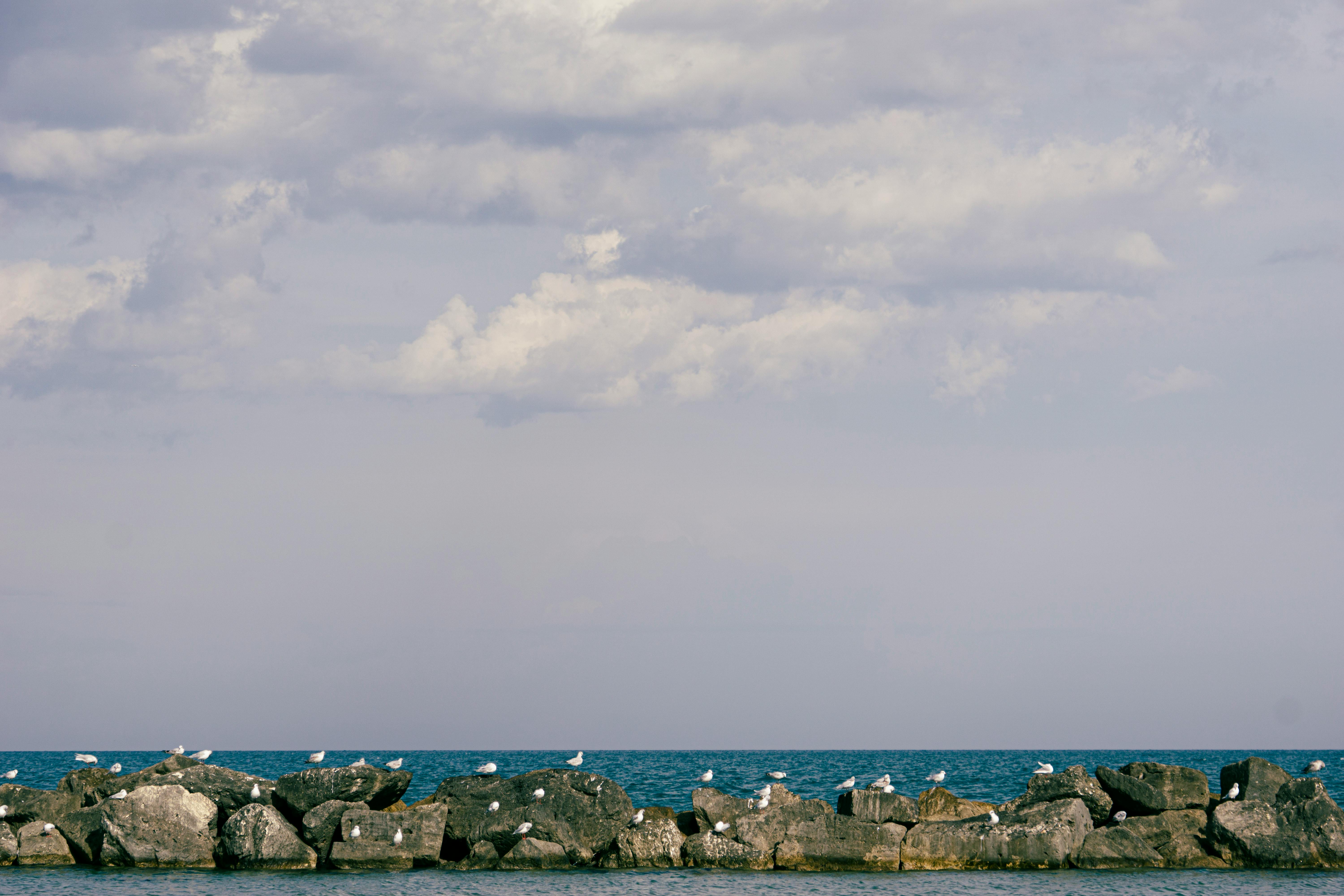 grátis Gaivotas empoleiradas em rochas com mar sereno e céu nublado em Civitanova Marche, Itália. Foto profissional