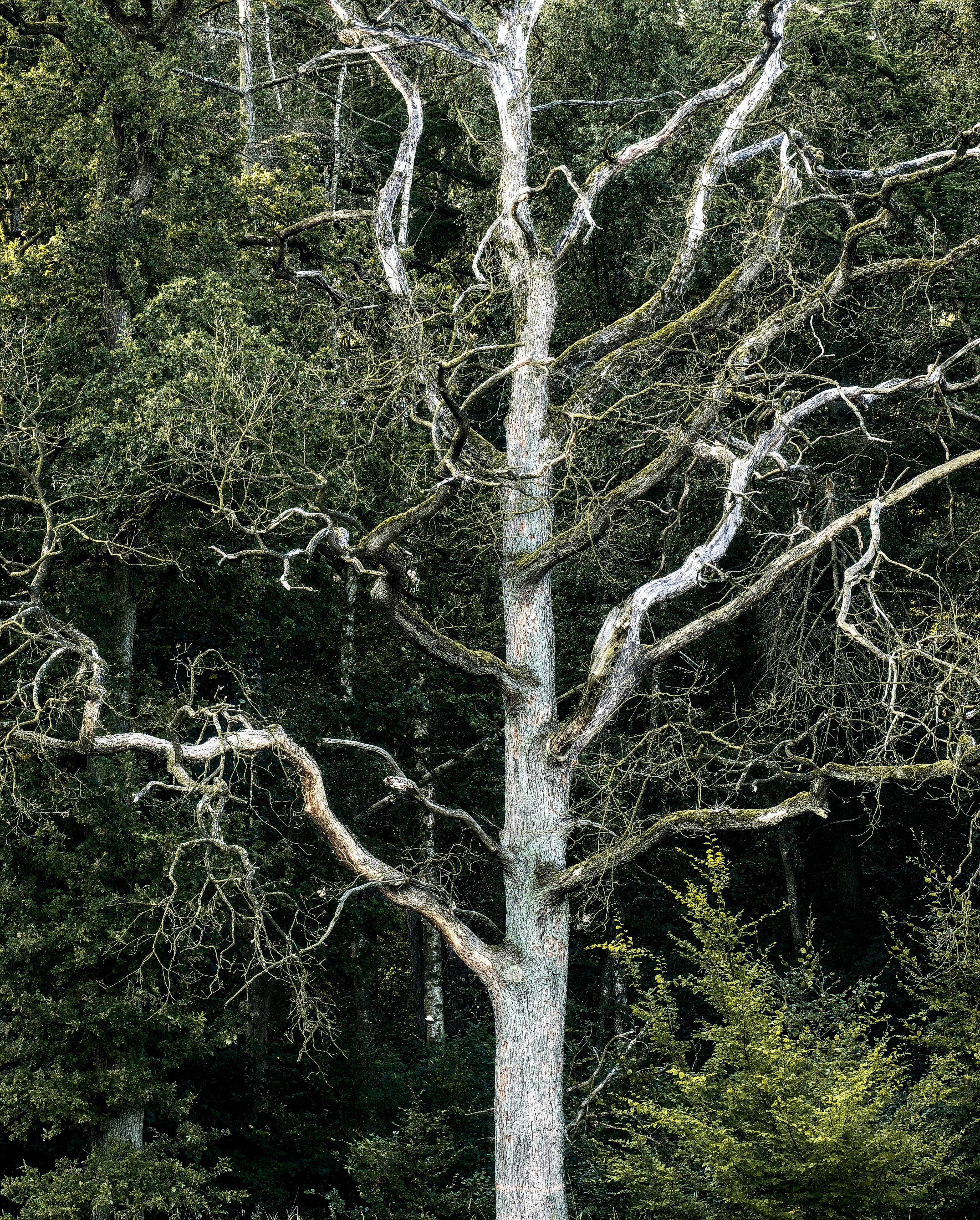 Russian+Bare+Naturist Photos, Download The BEST Free Russian+Bare