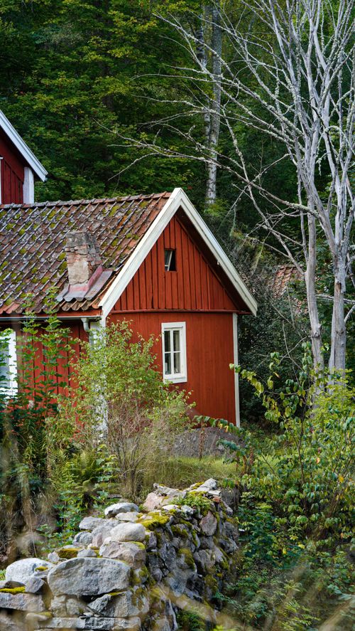 Free Red wooden cabin nestled in lush forest with stone wall and rustic details. Stock Photo