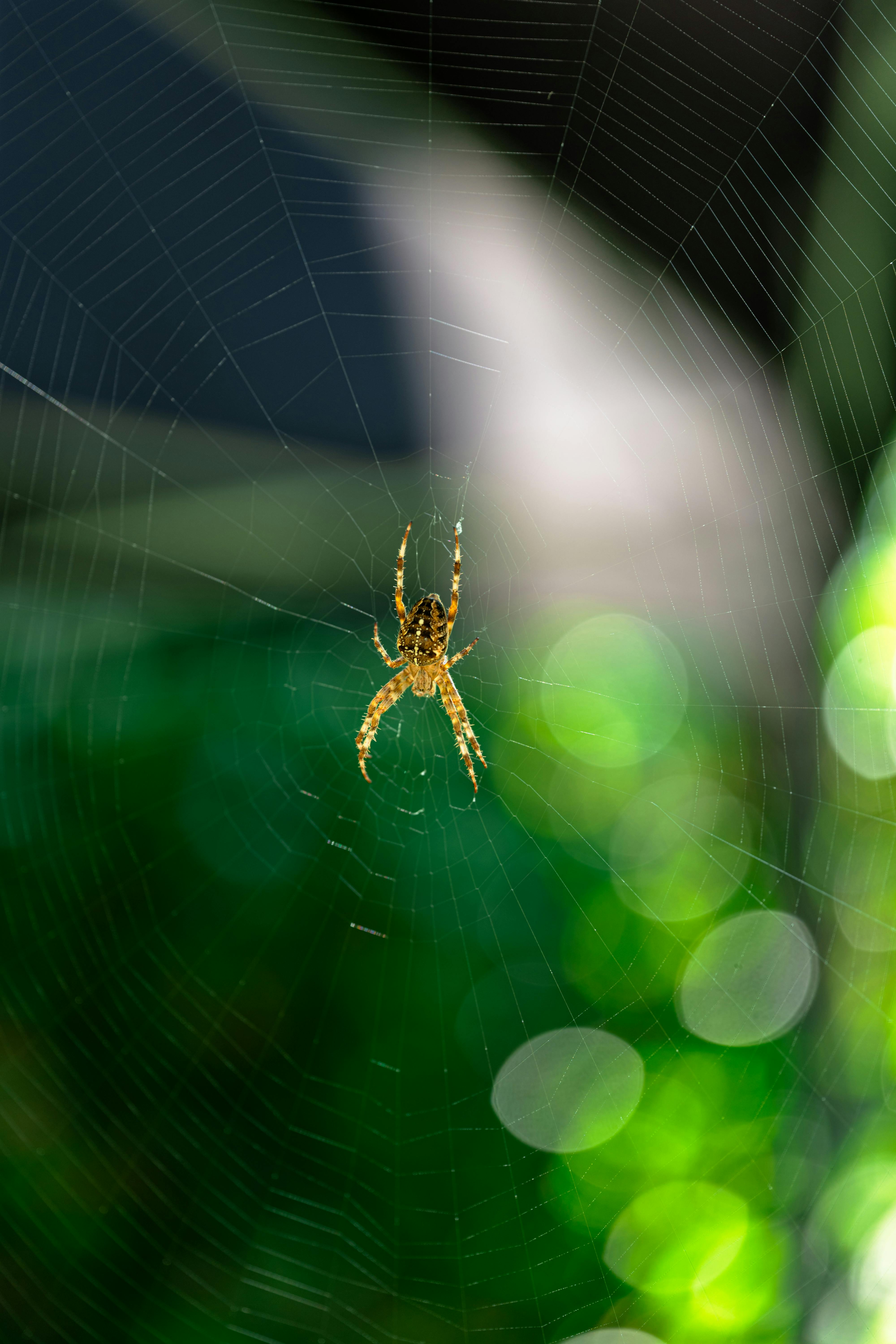 Mengapa Aksesibilitas Web Penting?