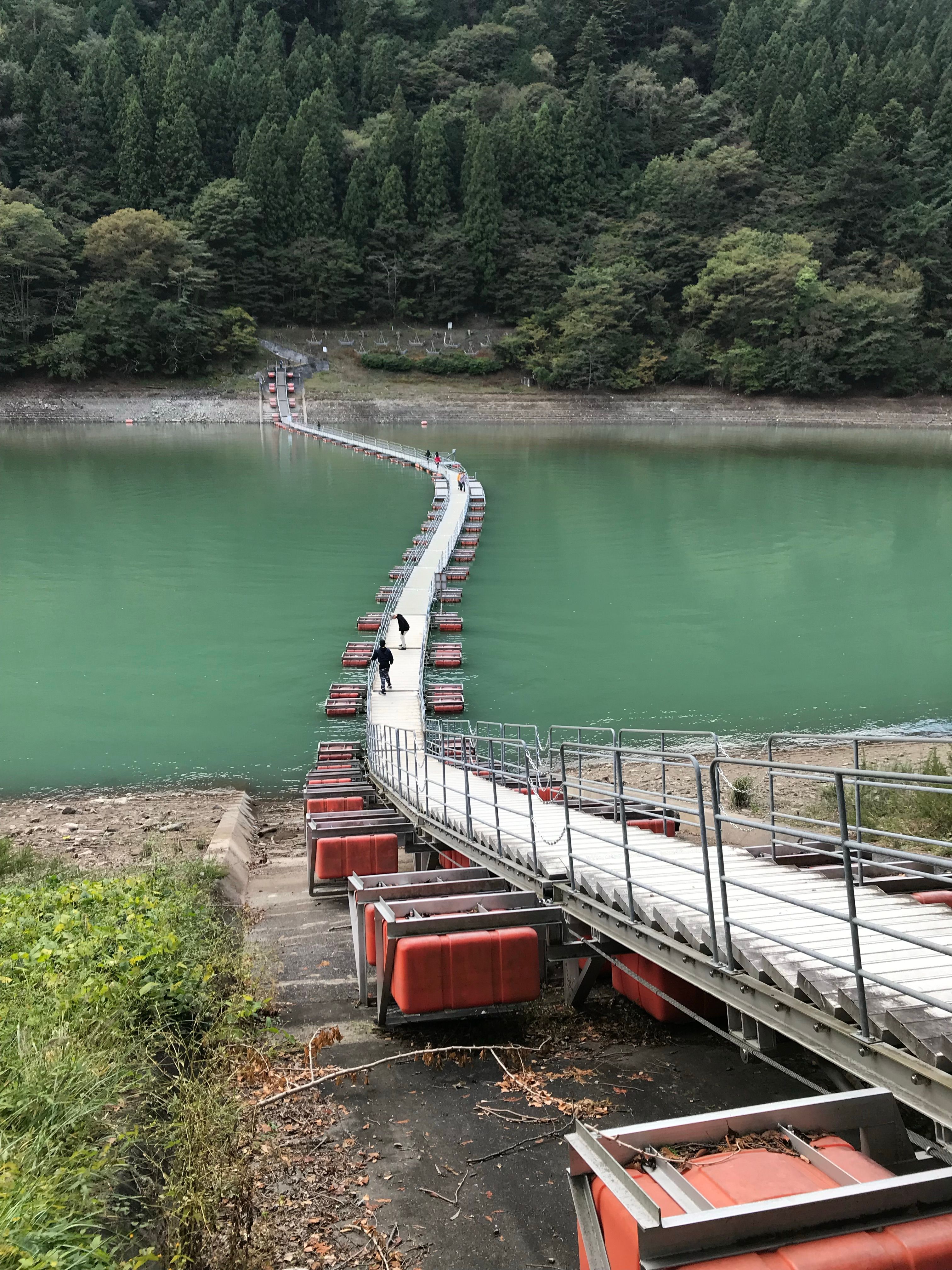 Scenic View of Floating Bridge Amidst Green Forest · Free Stock Photo