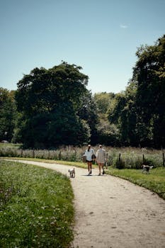 Couple enjoying a leisurely walk with dogs in a sunny park, amidst lush greenery.
